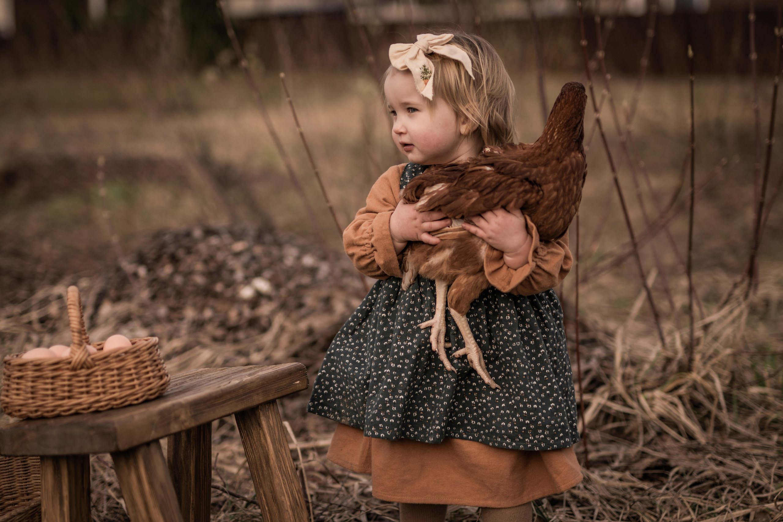 Куриная история. Семейный фотограф Ефремова Виктория