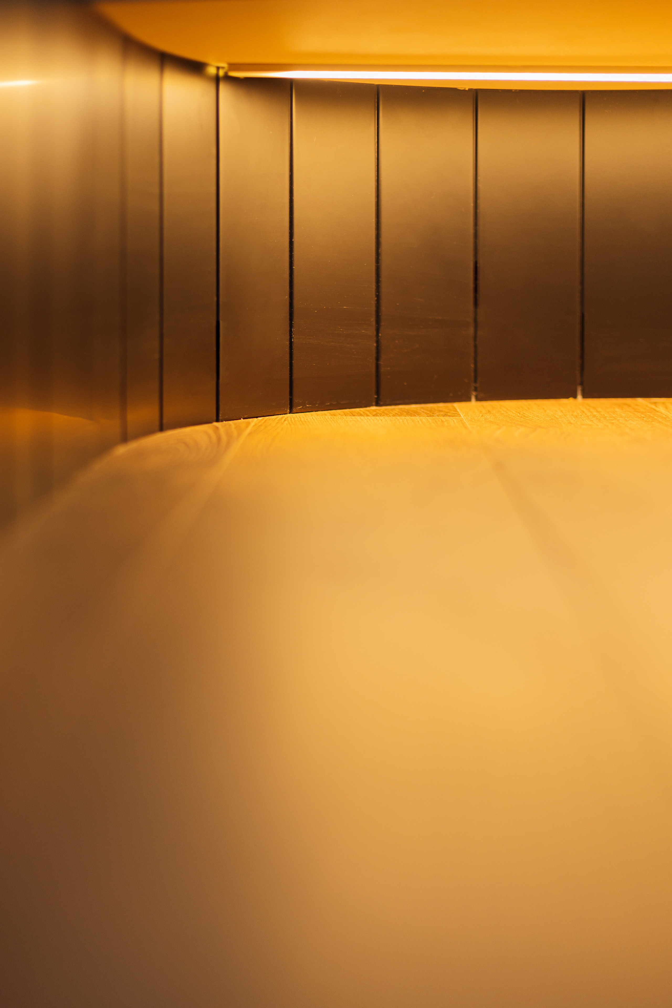 Двухкомнатная квартира ЖК «Скандис» г. Красноярск. Дизайн интерьера от Дмитрия Баландина