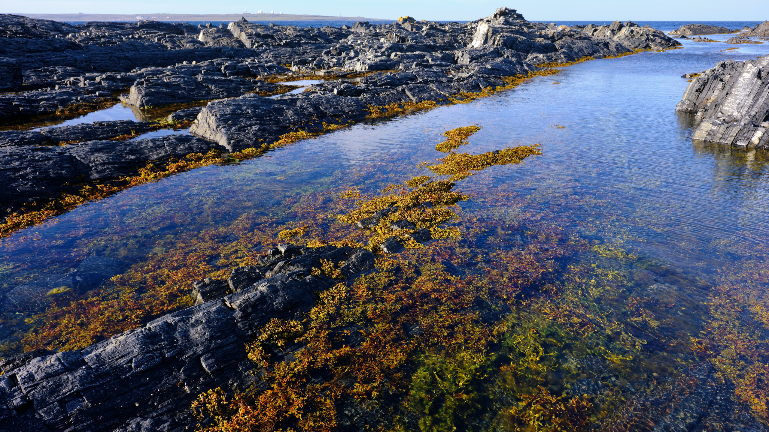 Баренцево море. Пейзажи Крайнего Севера. Баренцево море, Рыбачий, Средний, Немецкий