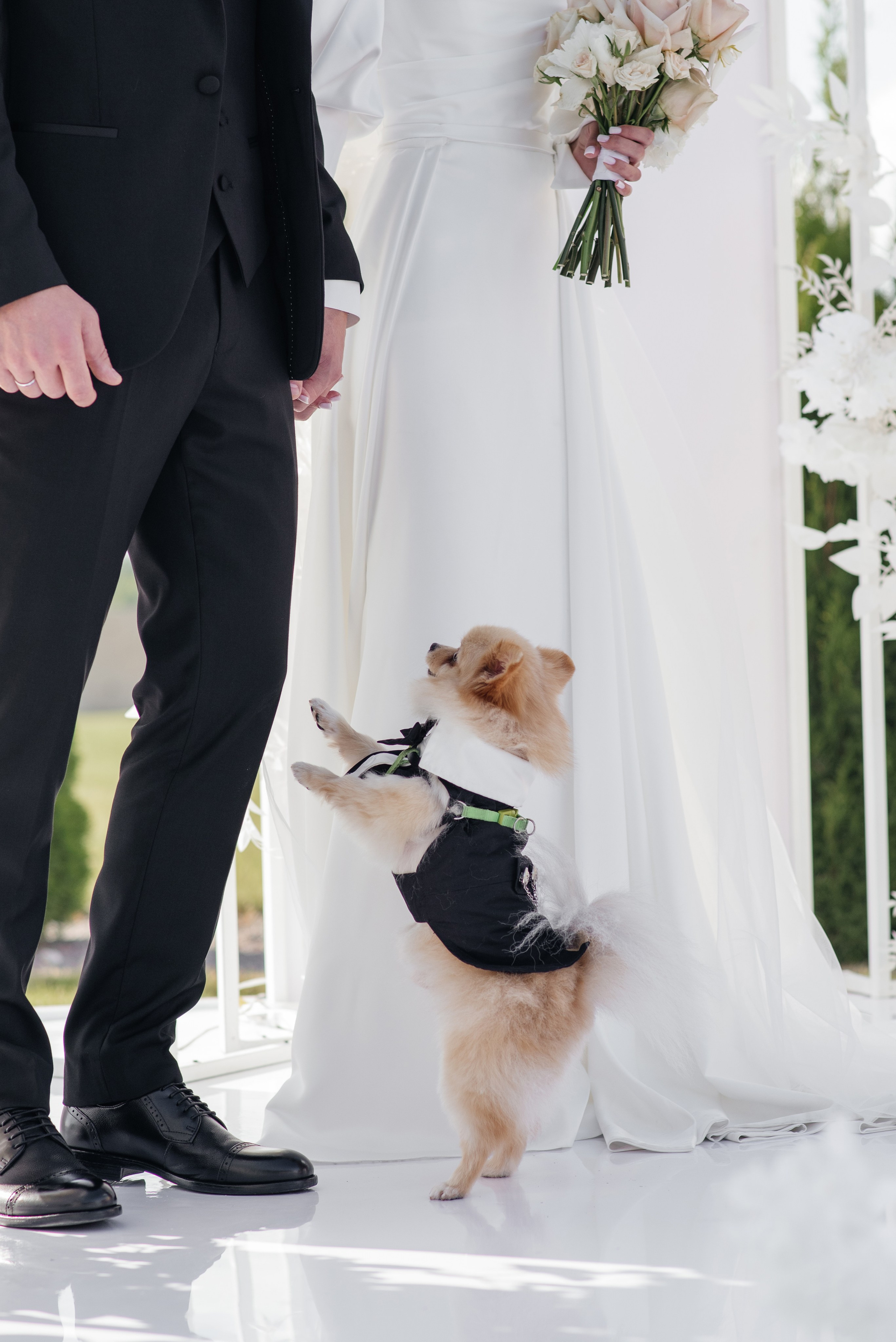 Свадьба Владимир и Ксения Курск. Свадебный фотограф Белгород