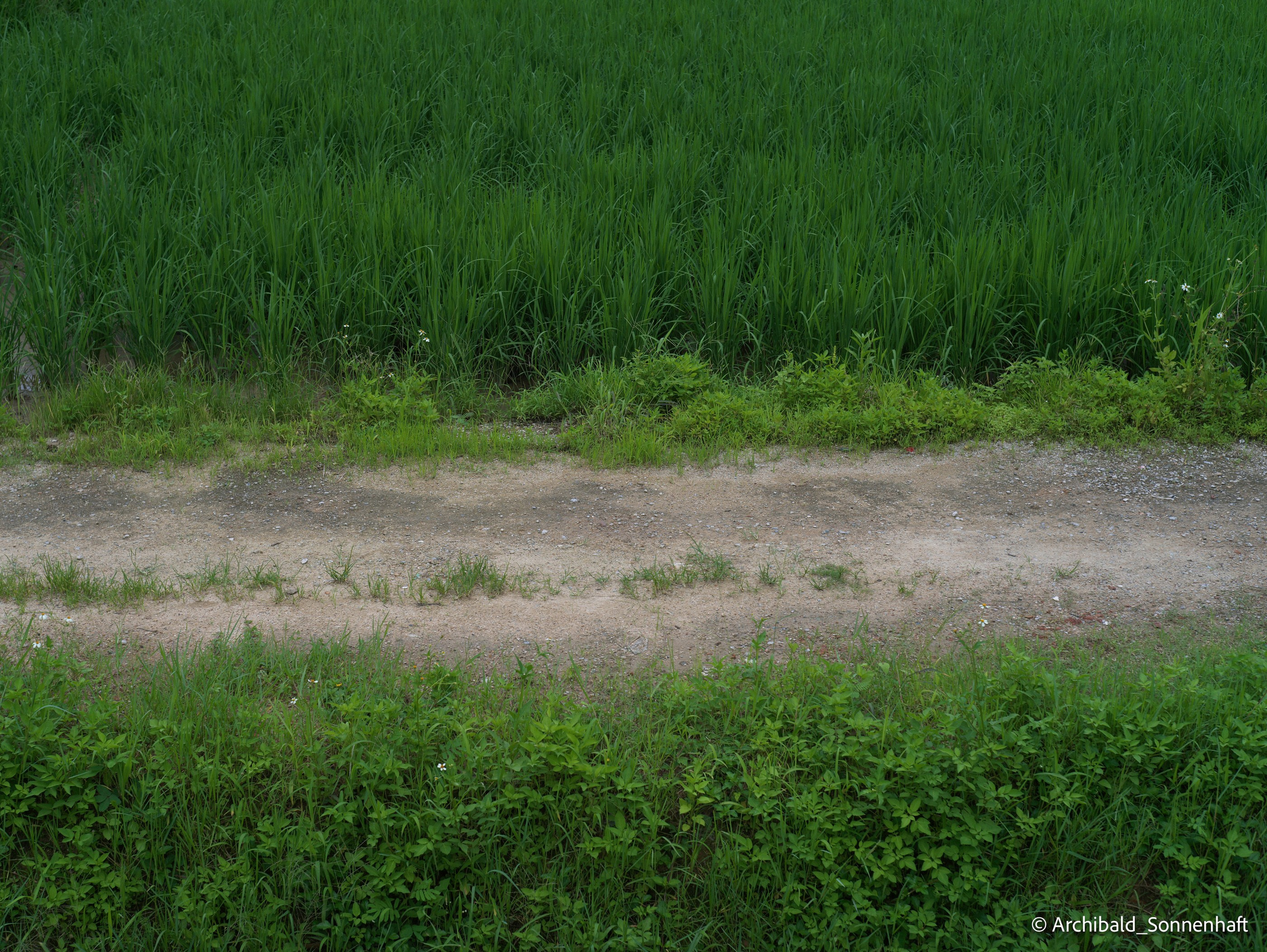 Yakuts festival of rebirth of nature after a hard winter. Photographer in Guangzhou, China. Archibald Sonnenhaft