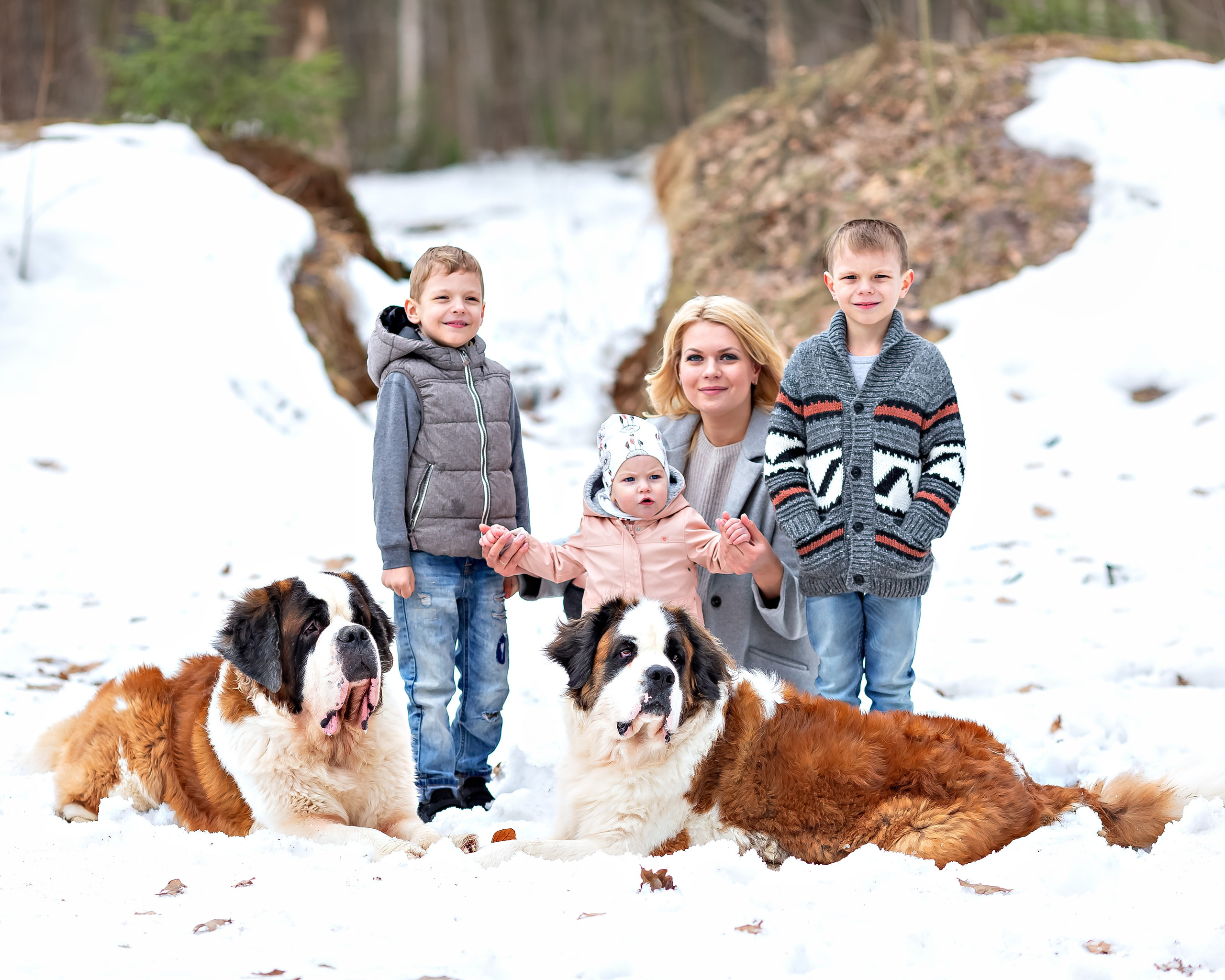Семья с собаками в парке