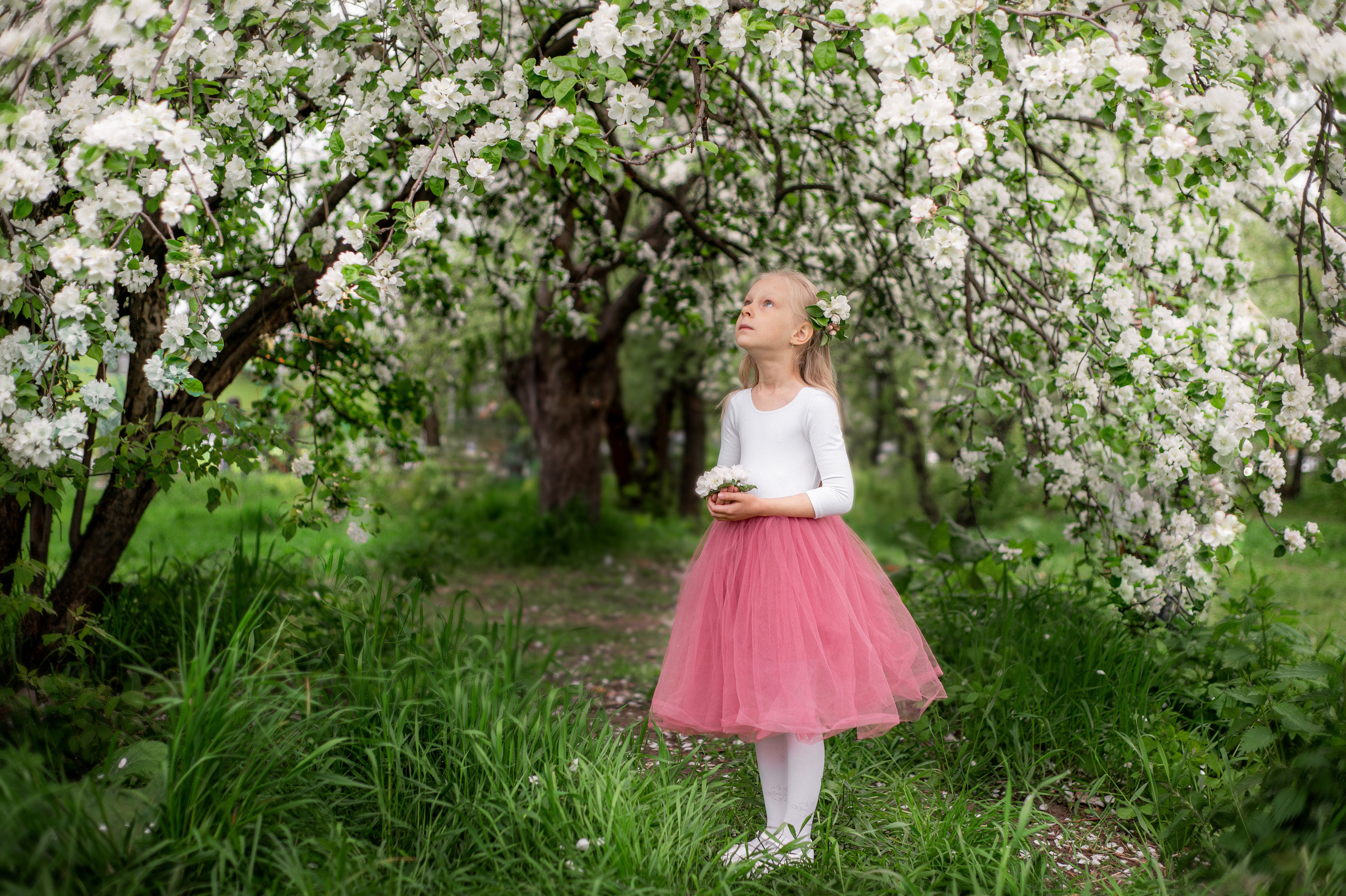 съёмка в цветении, фотосессия в цветении, фотосессия в яблонях, вишни, сакура, цветение, весна, весенняя фотосессия, девочка с цветами, балерина, юбка-пачка, цветы, весна