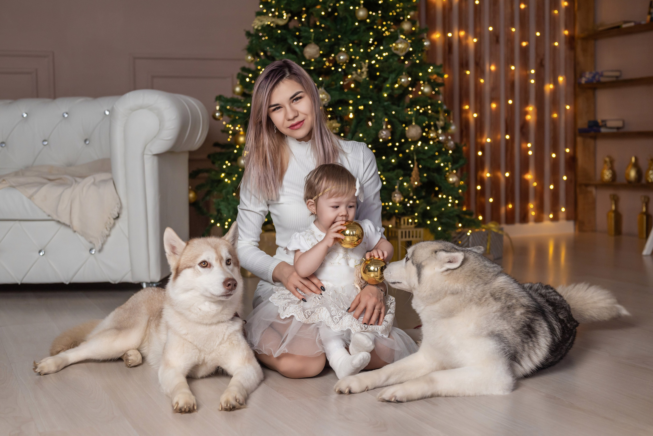 Фотопроект с хаски. Фотограф в городе Салават