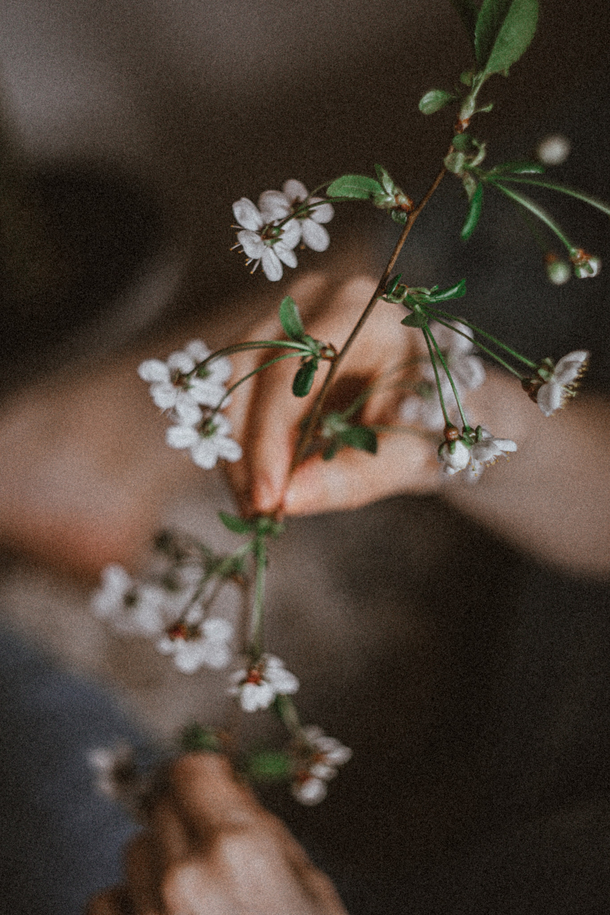 NASTYA. Портретный и Семейный фотограф в Санкт-Петербурге Rocket Alice