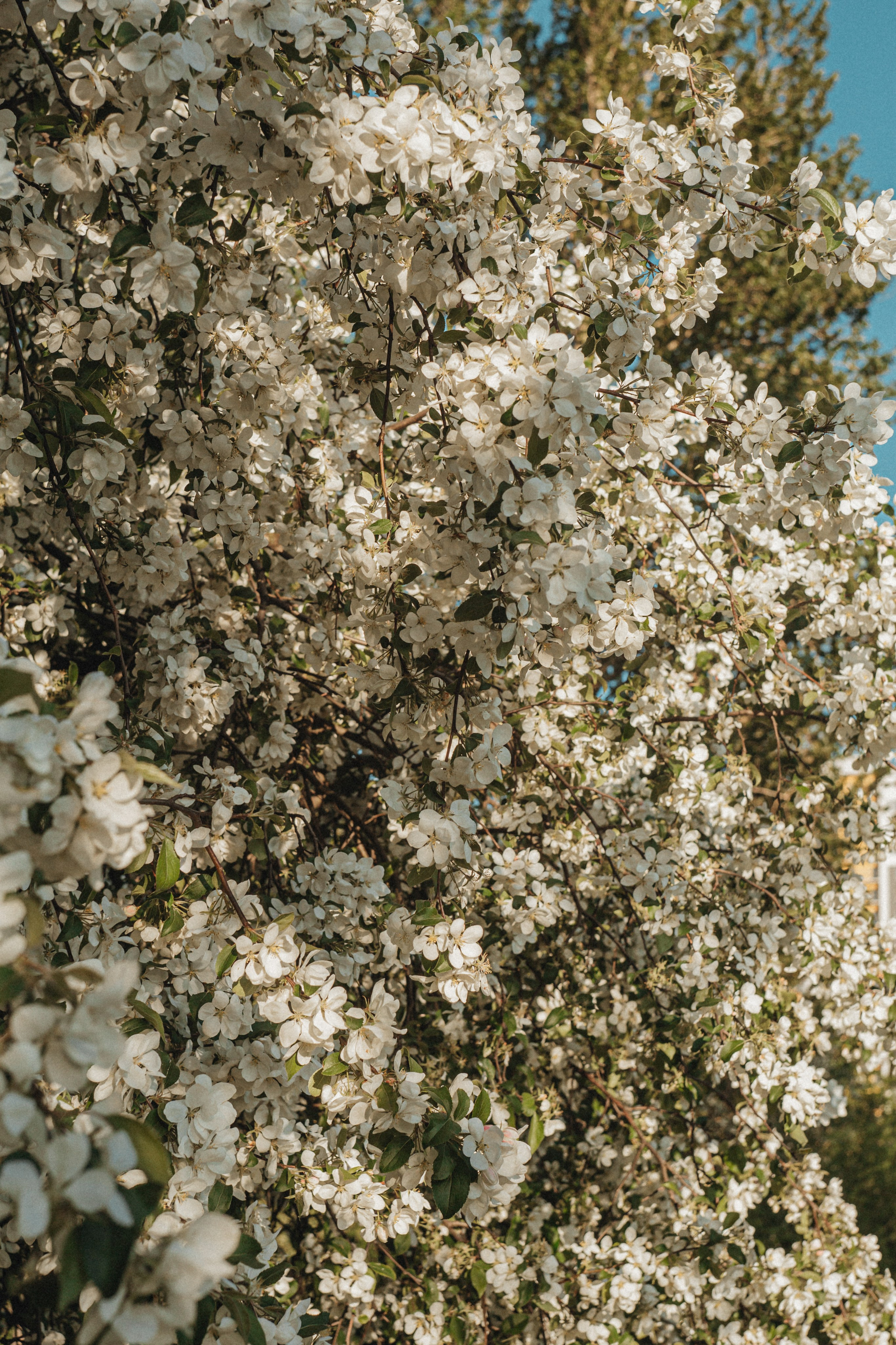 ALENA'S FAMILY. Портретный и Семейный фотограф в Санкт-Петербурге Rocket Alice