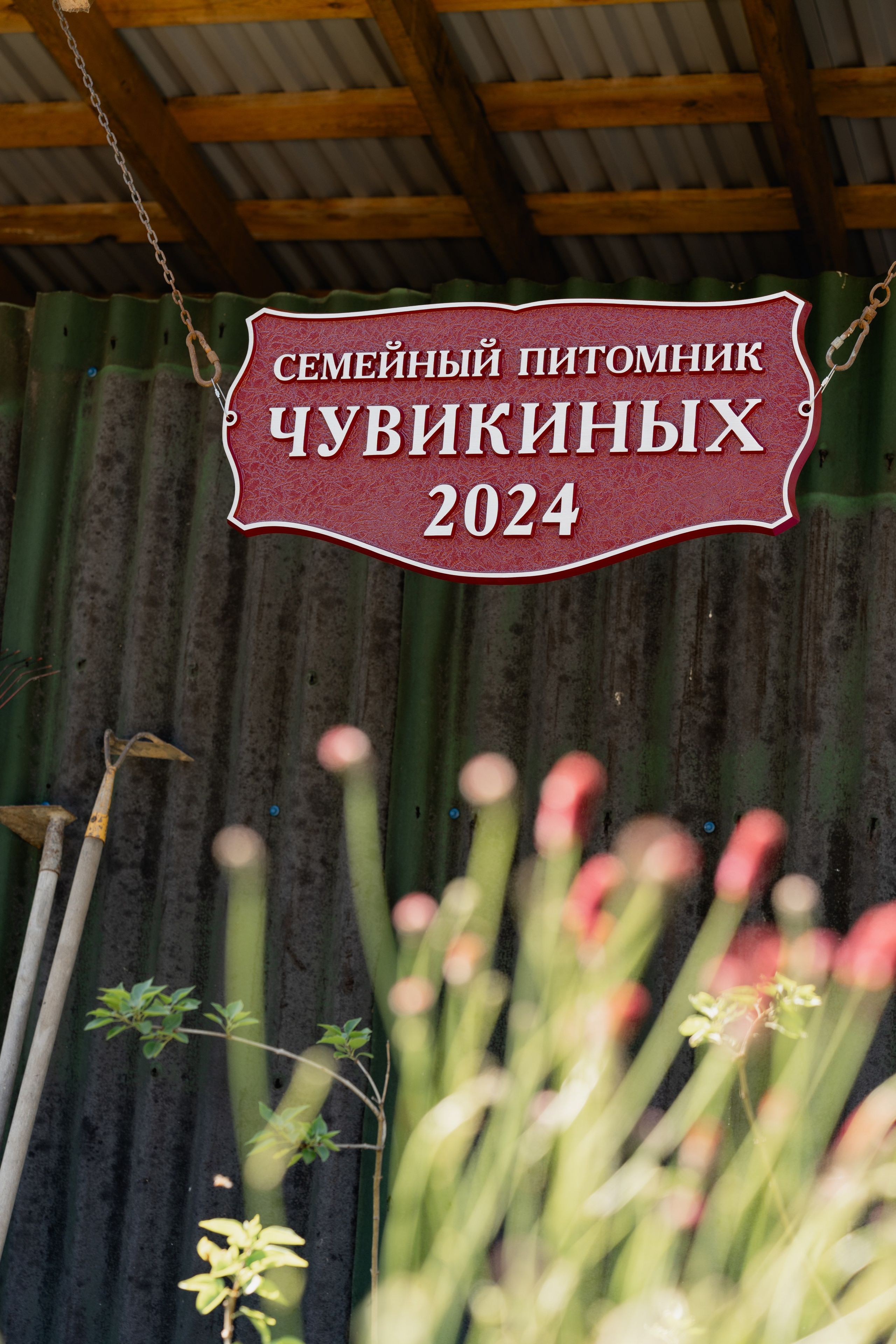 Семейный питомник. Виктория Саханкова — портретный и семейный фотограф в Москве