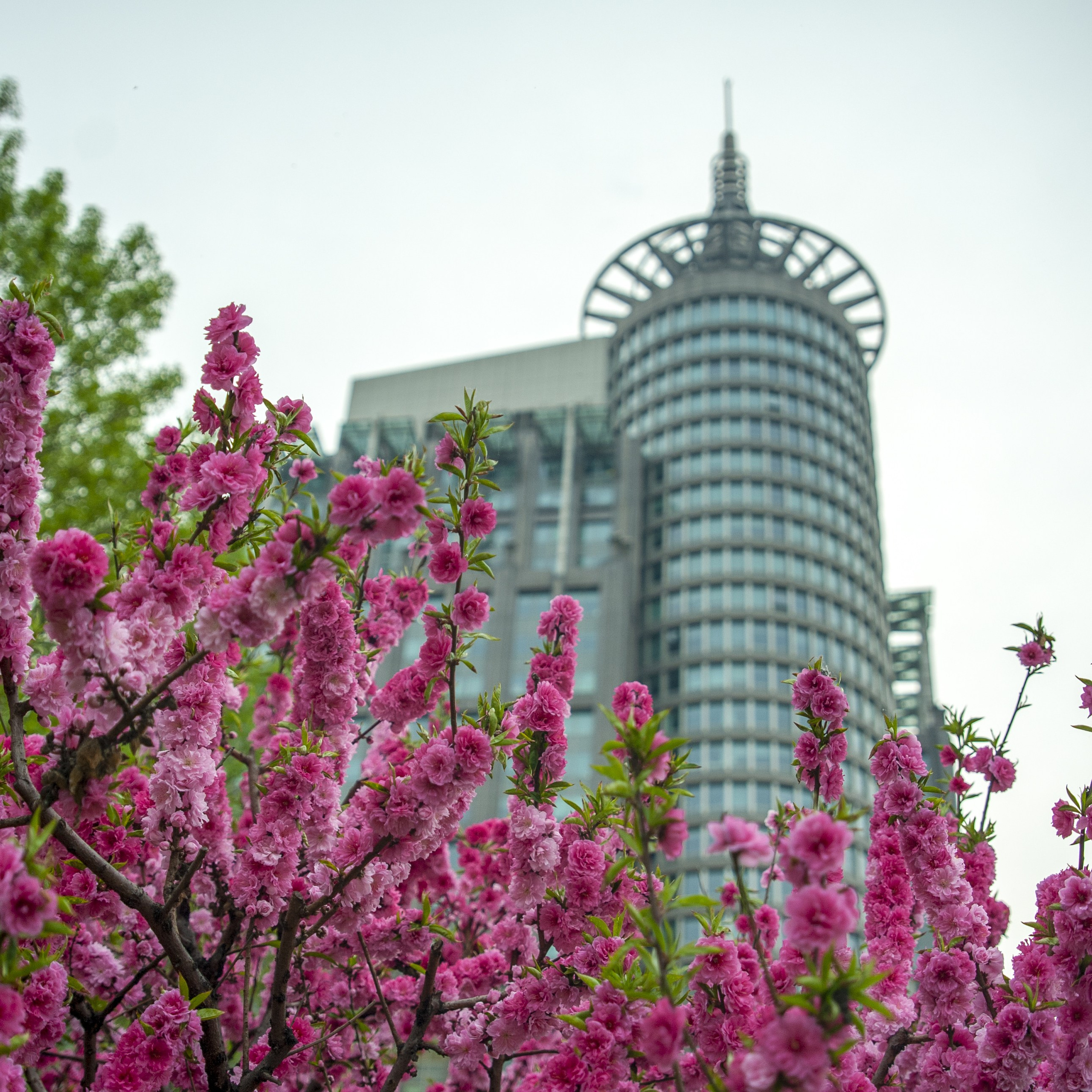 Весна. FotoGraf