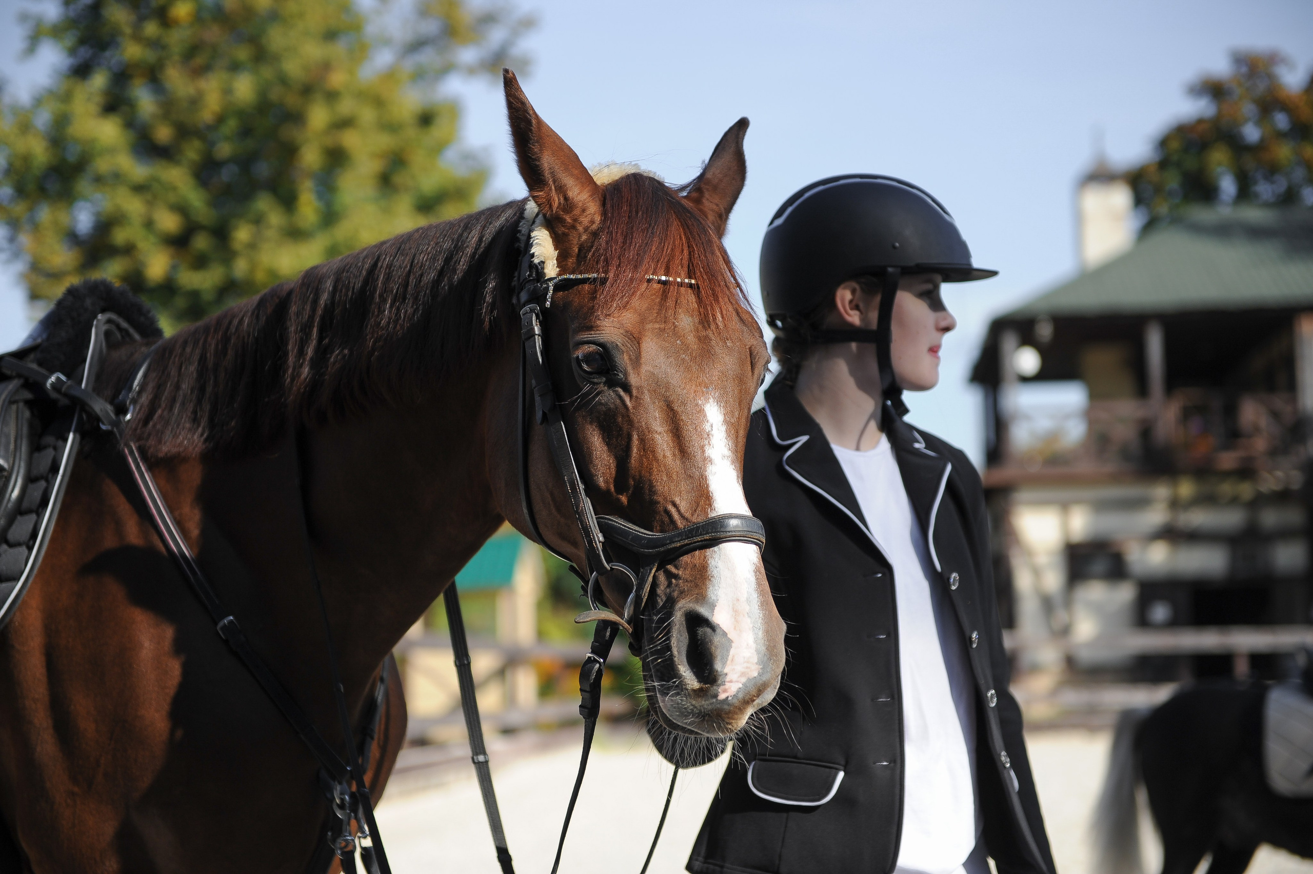 Конкур в конном клубе, репортаж Москва. Фотограф, визажист. Москва