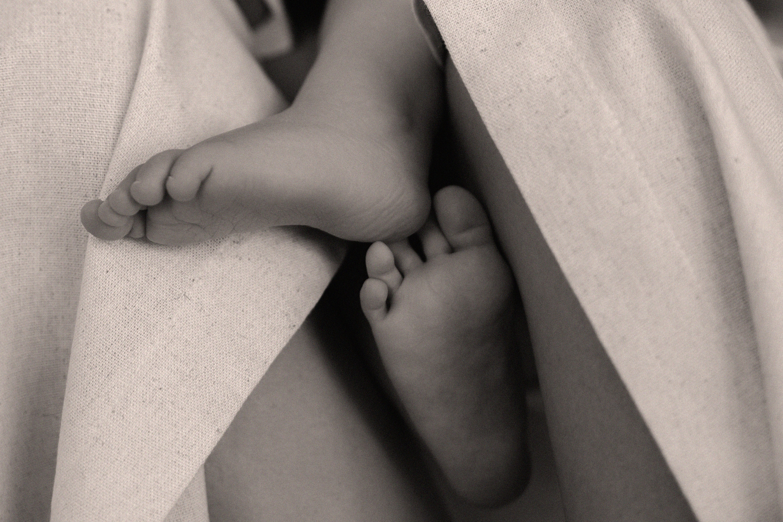 Максим, Алена, и Алиса. Фотограф Краснодар