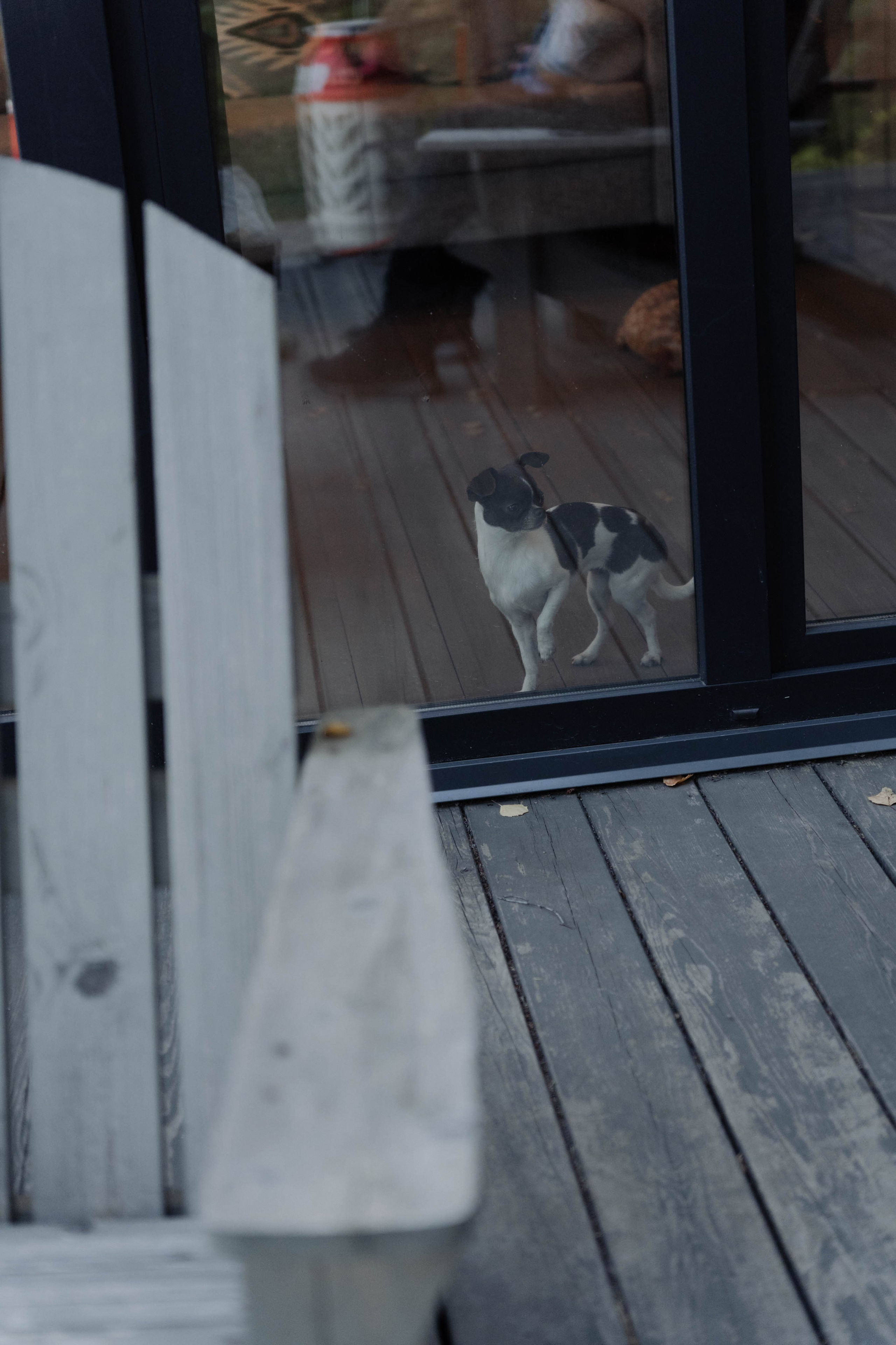 День рождения Марии. ФОТОГРАФ КСЕНИЯ СОСНОВСКАЯ