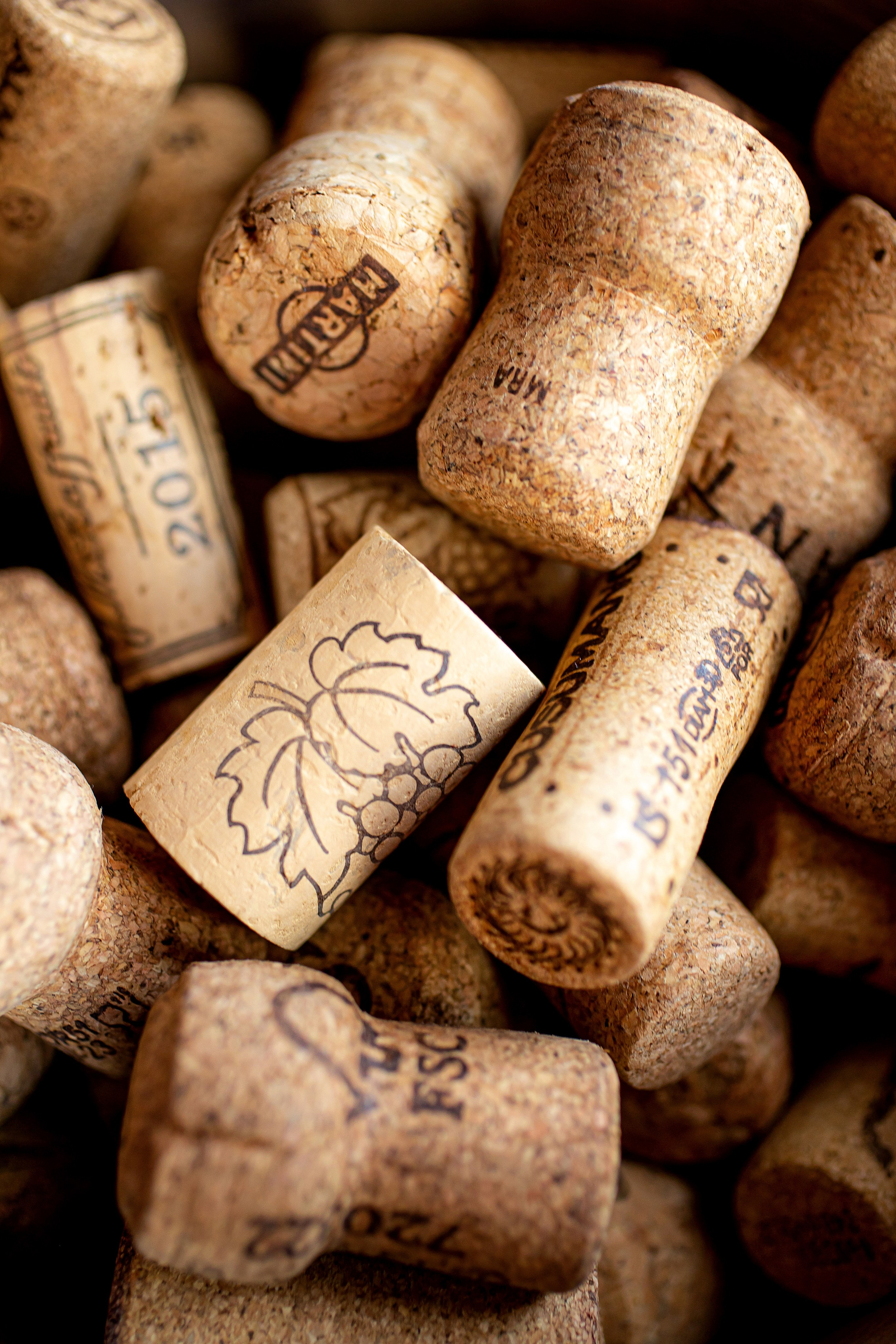 LEVELS. Фотограф Агеева Мария