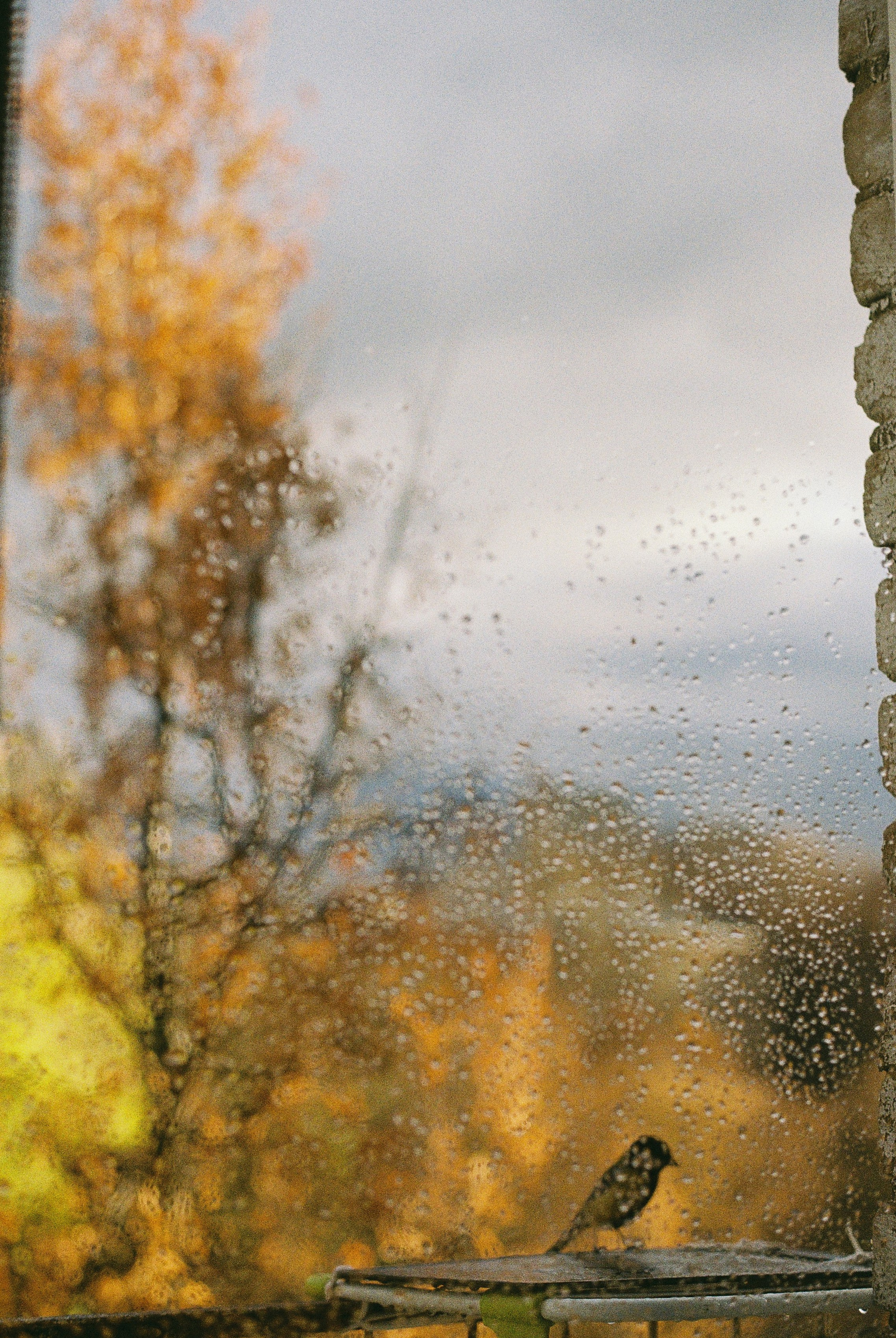 Портретный Фотограф в Москве и Сочи Александр Иванов