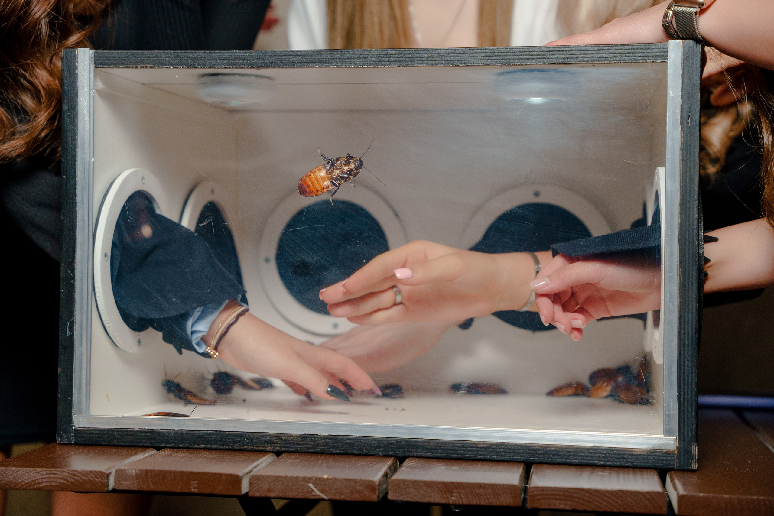 Репортажный фотограф на день рождения в Москве. Репортажный фотограф Москва Сергей Дружинин