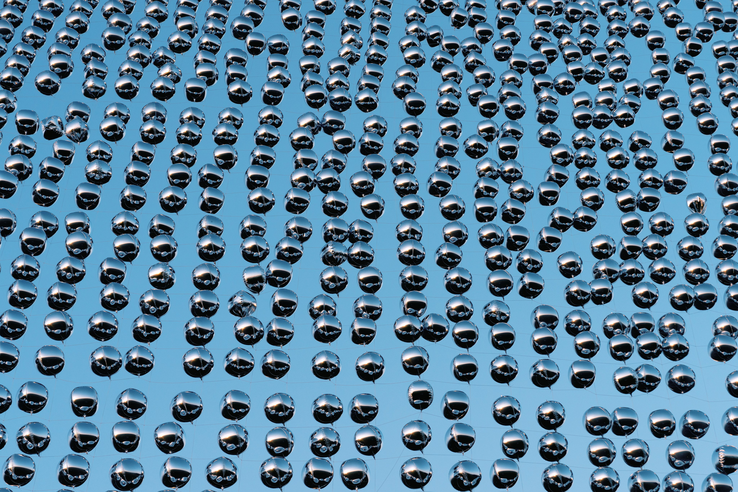 Signal 2024. @tomrus: Рустам Шагиморданов — фотограф