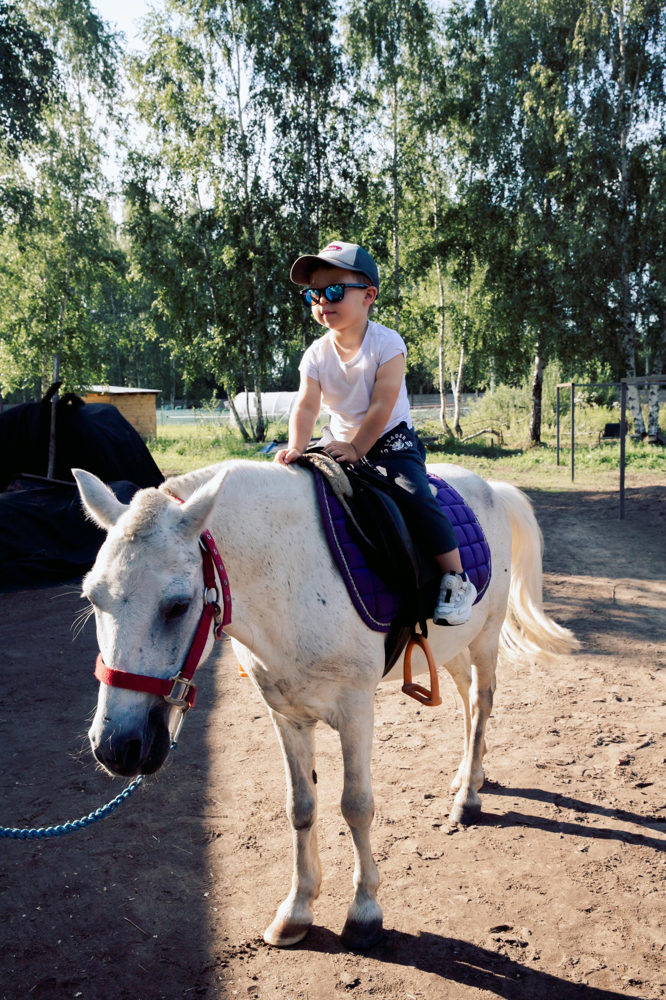 Прогулка на пони. Семейный и детский фотограф. Москва. Пронина Тома