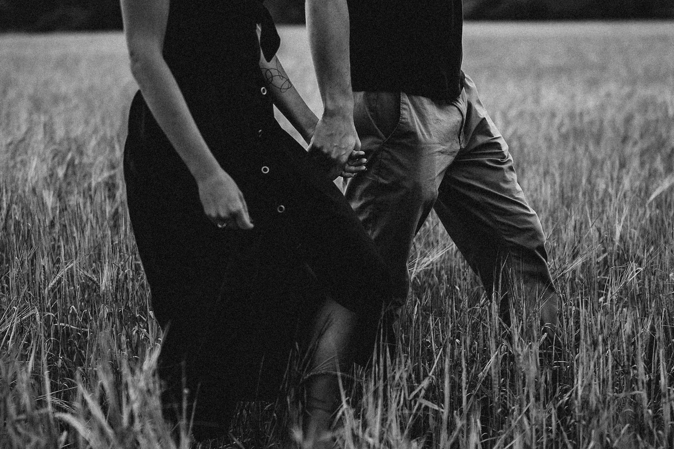 Летнее поле. Кристина Ветрова | ФОТОГРАФ | Москва