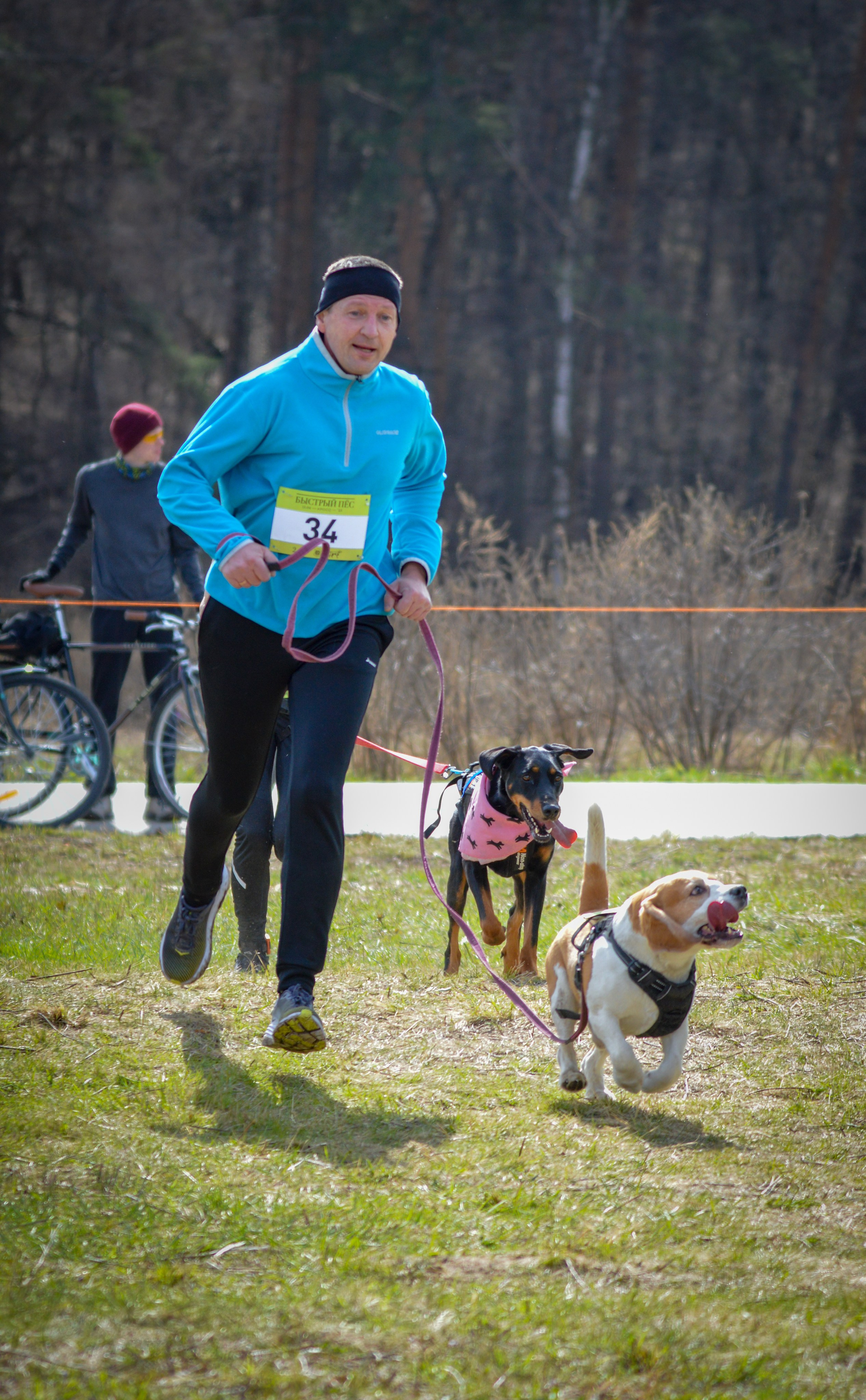 Кросс «Быстрый Пёс» — 15.04.2023. AlexFecto — галереи фотографий