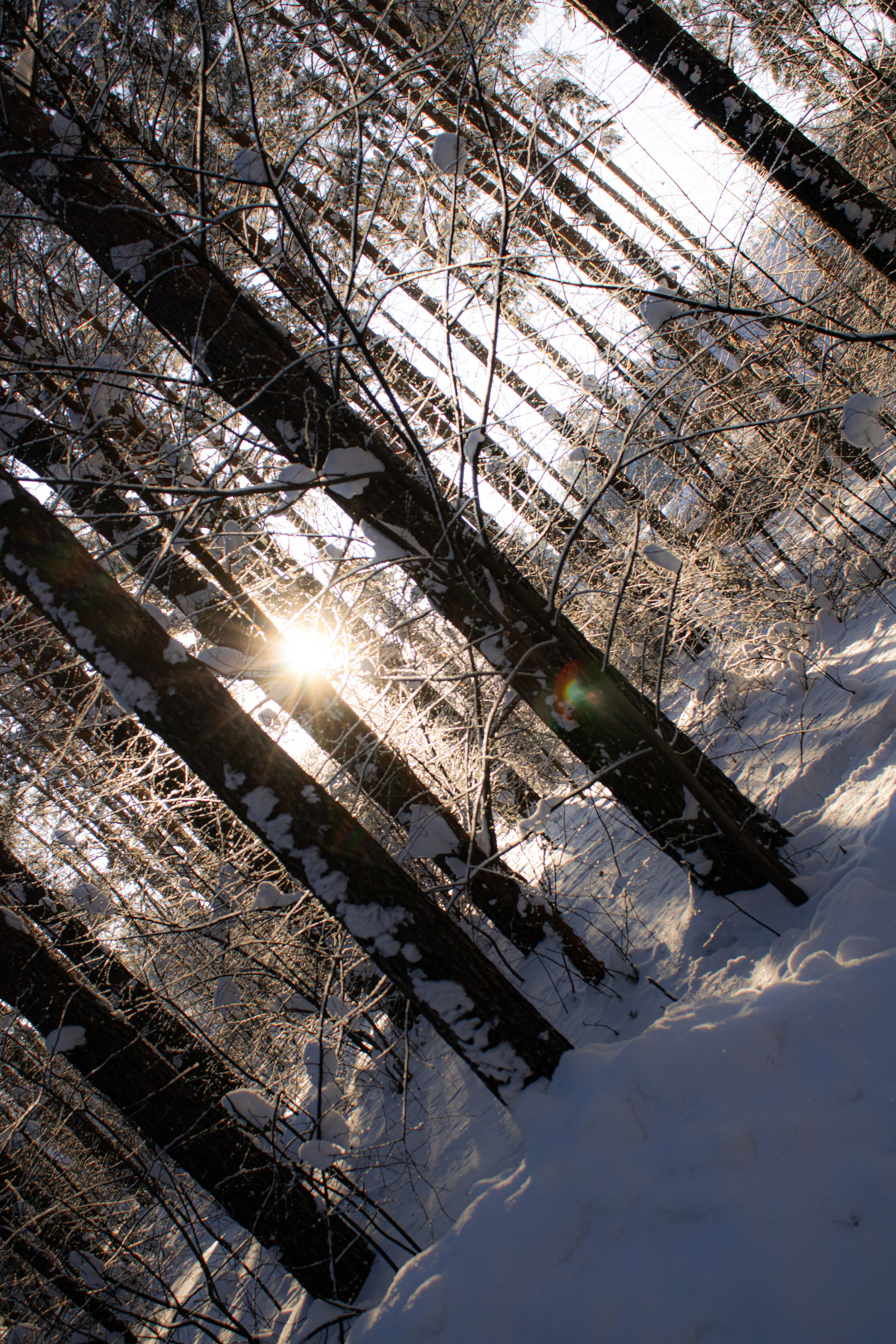 Вдохновение. Бутакова Елена фотограф в Екатеринбурге