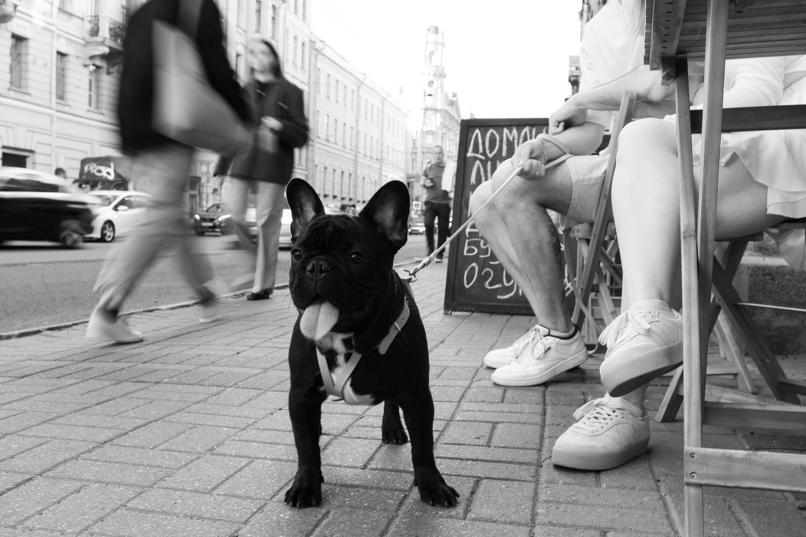 Мандалорцы для малыша Йоды. Wed Photographers 📷 Saint Petersburg