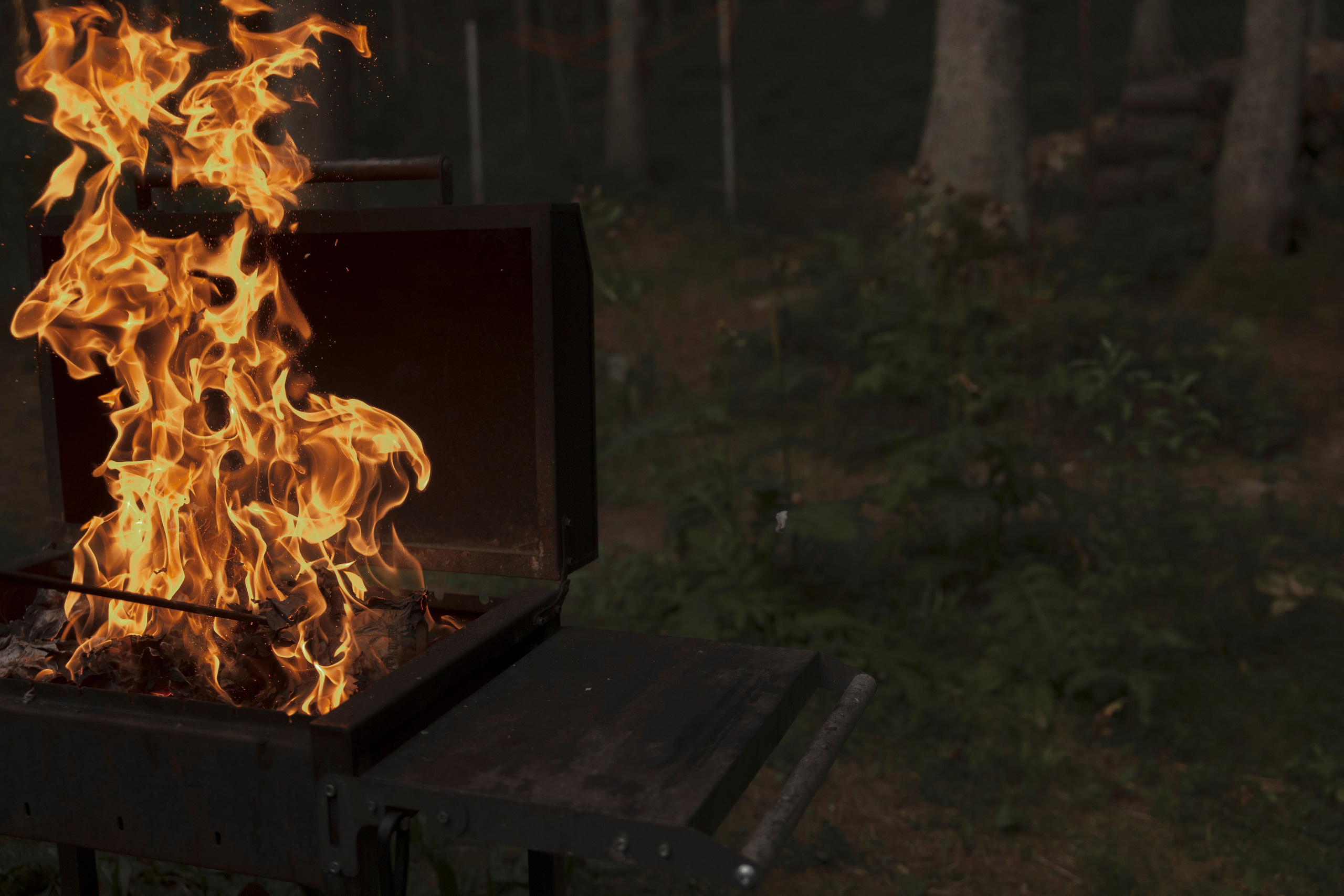 Mamma Mia! (Игорь & Катя). Wed Photographers 📷 Saint Petersburg
