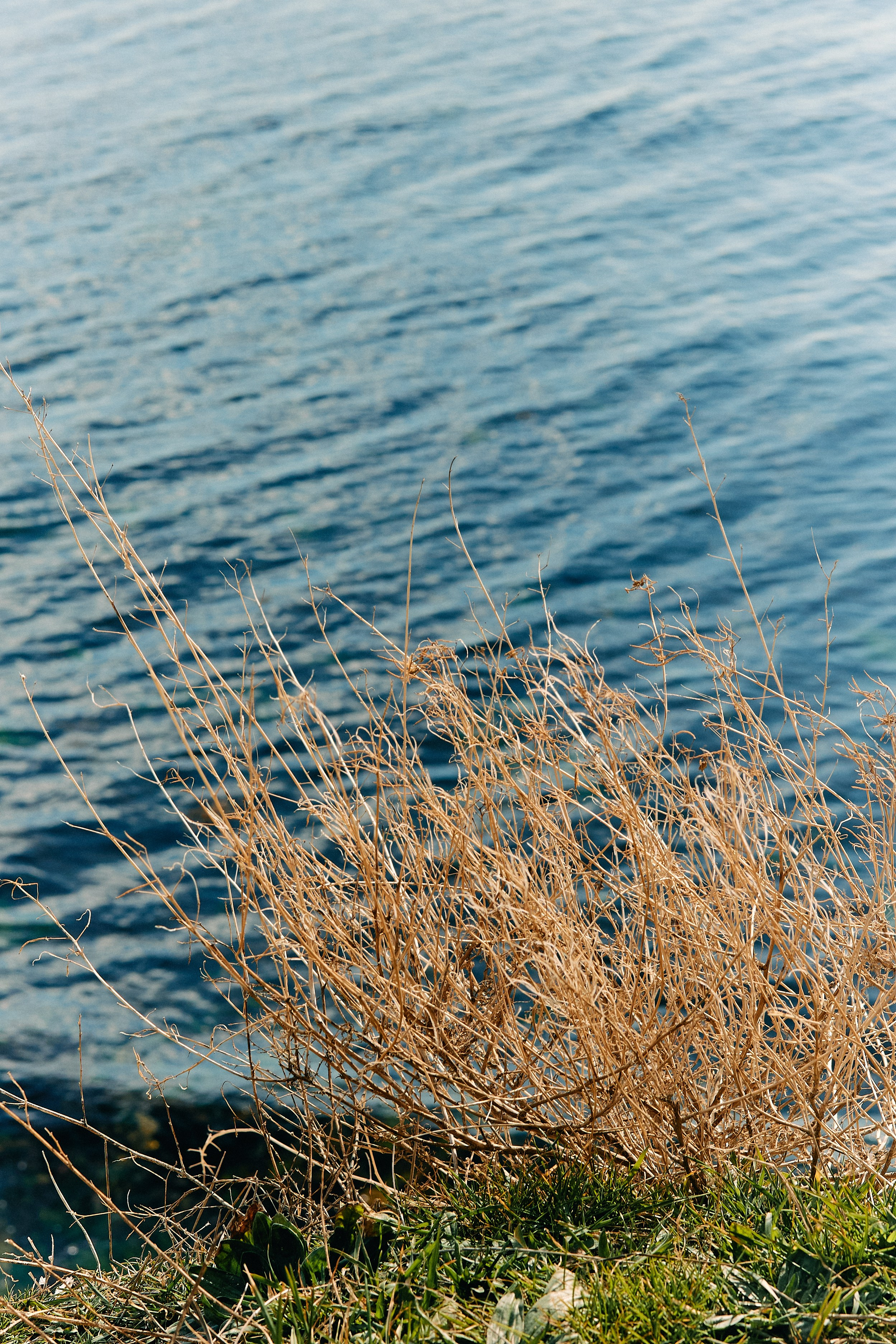 Юг России. Профессиональный Фотограф во Владимире, в Москве и в Суздале — Полина Романычева