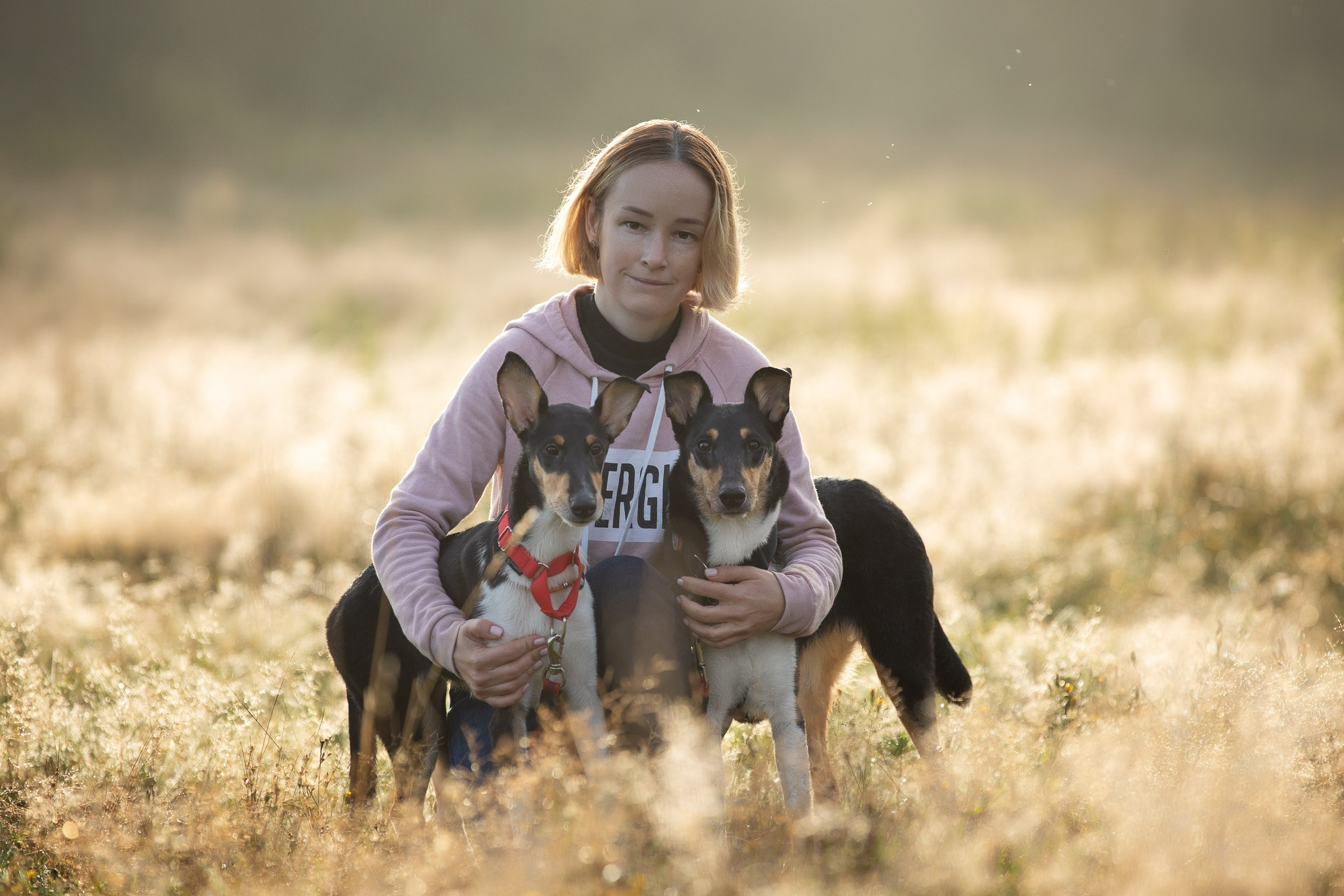 Наташа и короткошерстные колли. Фотограф-анималист в Москве и Московской области Татьяна Фролова