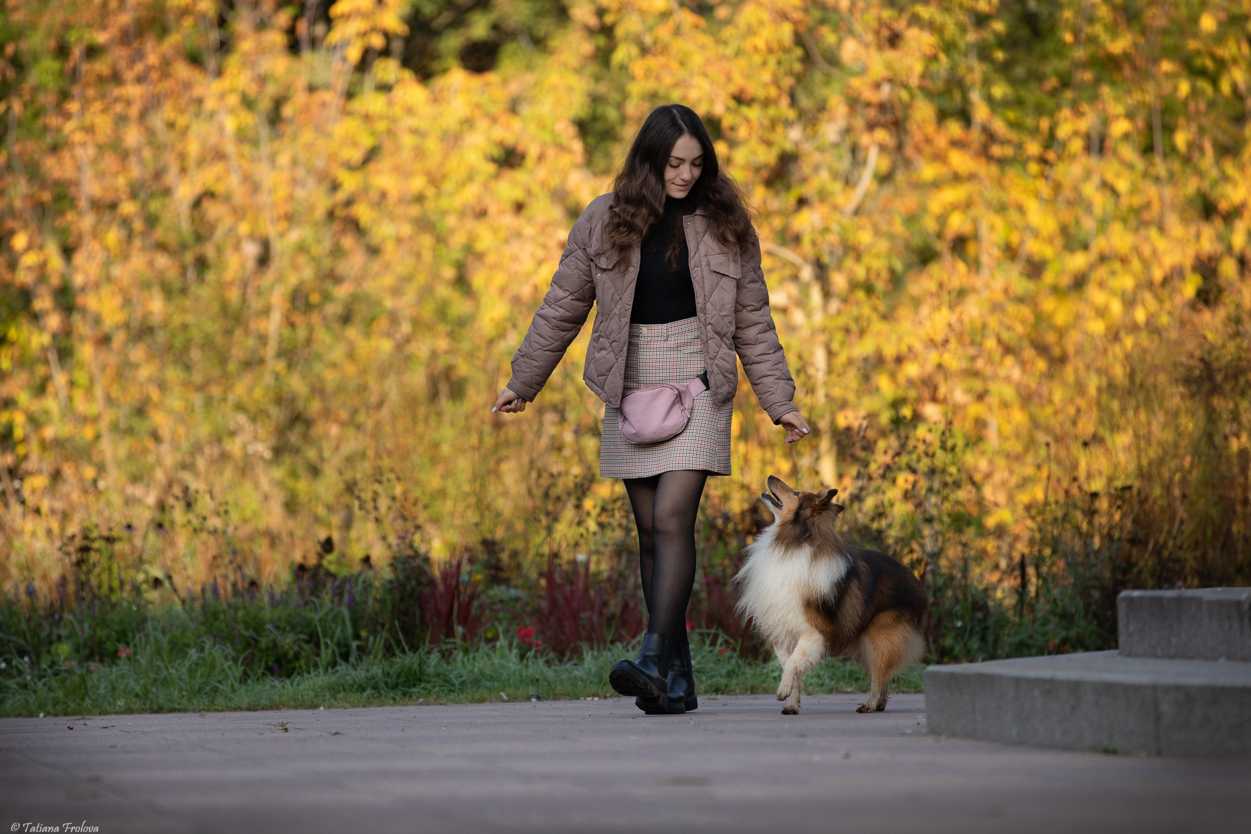 Утренняя фотопрогулка с двумя собаками по Москве. Фотограф-анималист в Москве и Московской области Татьяна Фролова