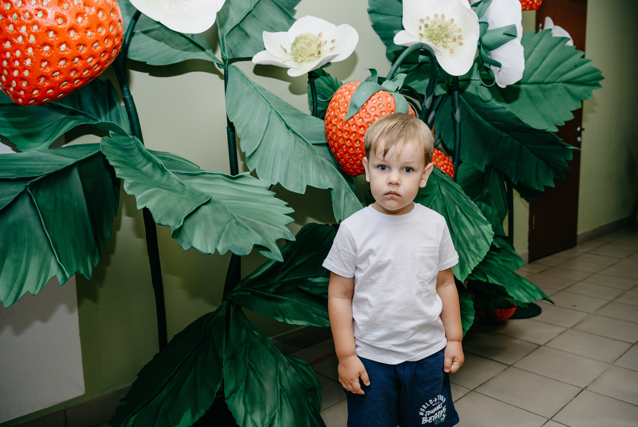 Волшебная страна. Фотограф на выписку из роддома в Москве и МО