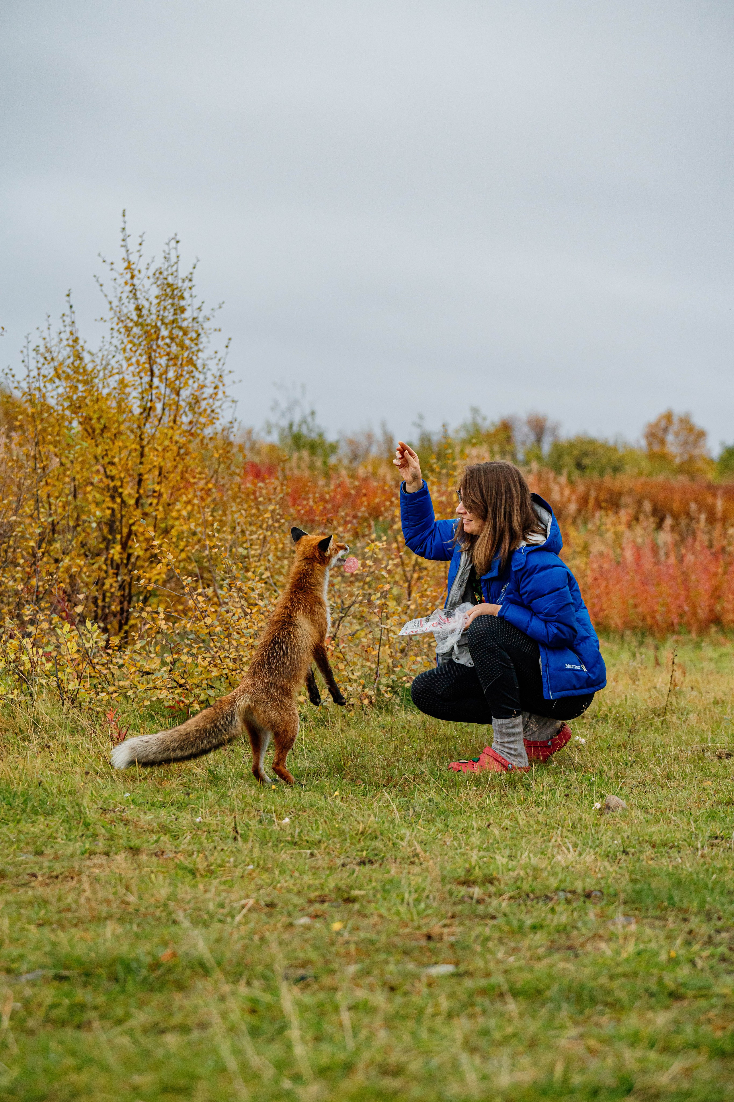 СЕВЕР. Event фотограф Степанова Александра