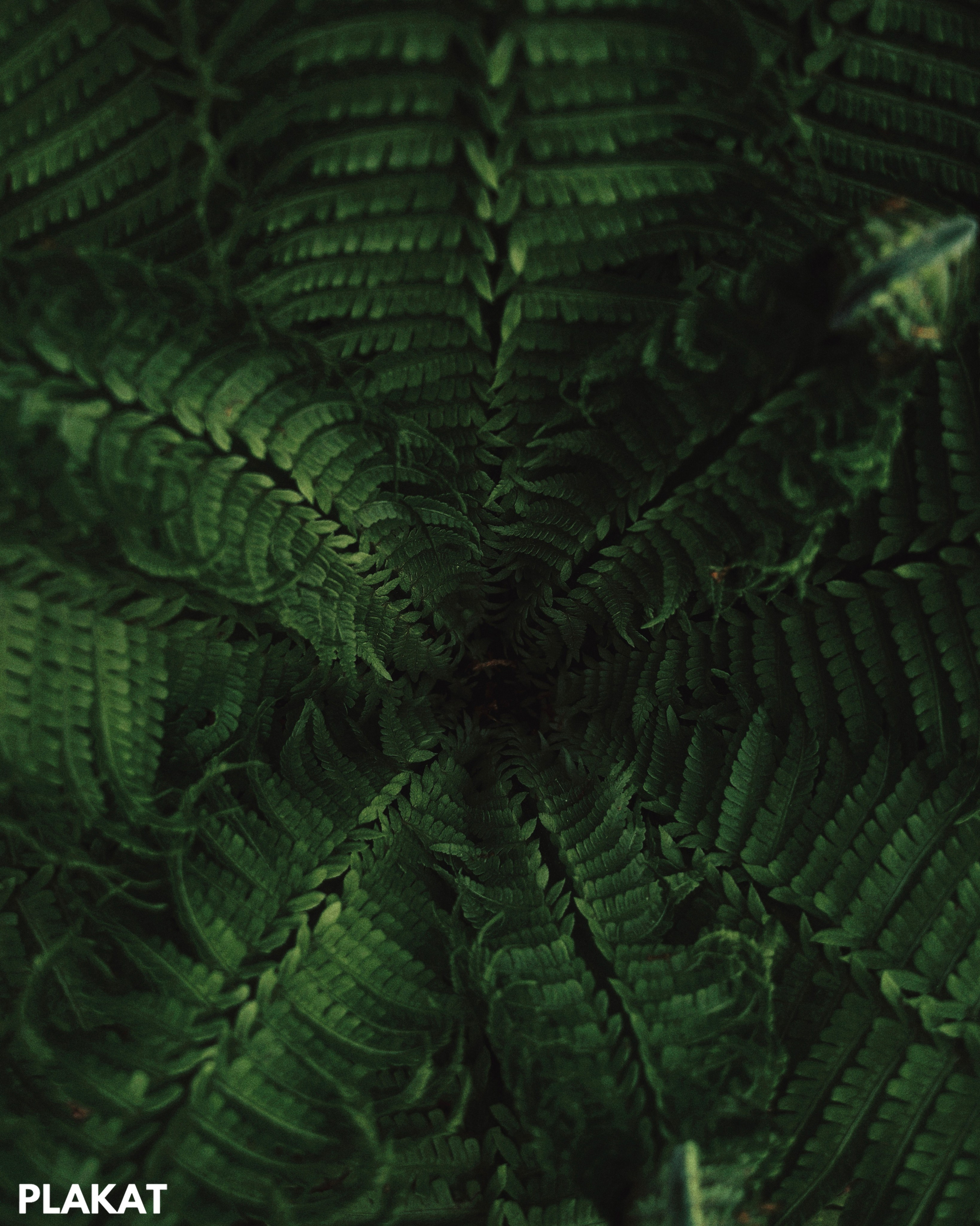 @natalliya_zhukovskaya