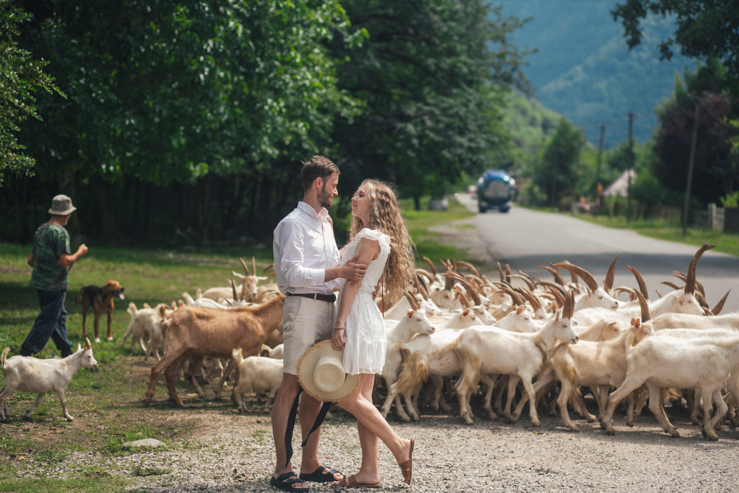 Рица Катер Луга 20т. RetroChic Фото