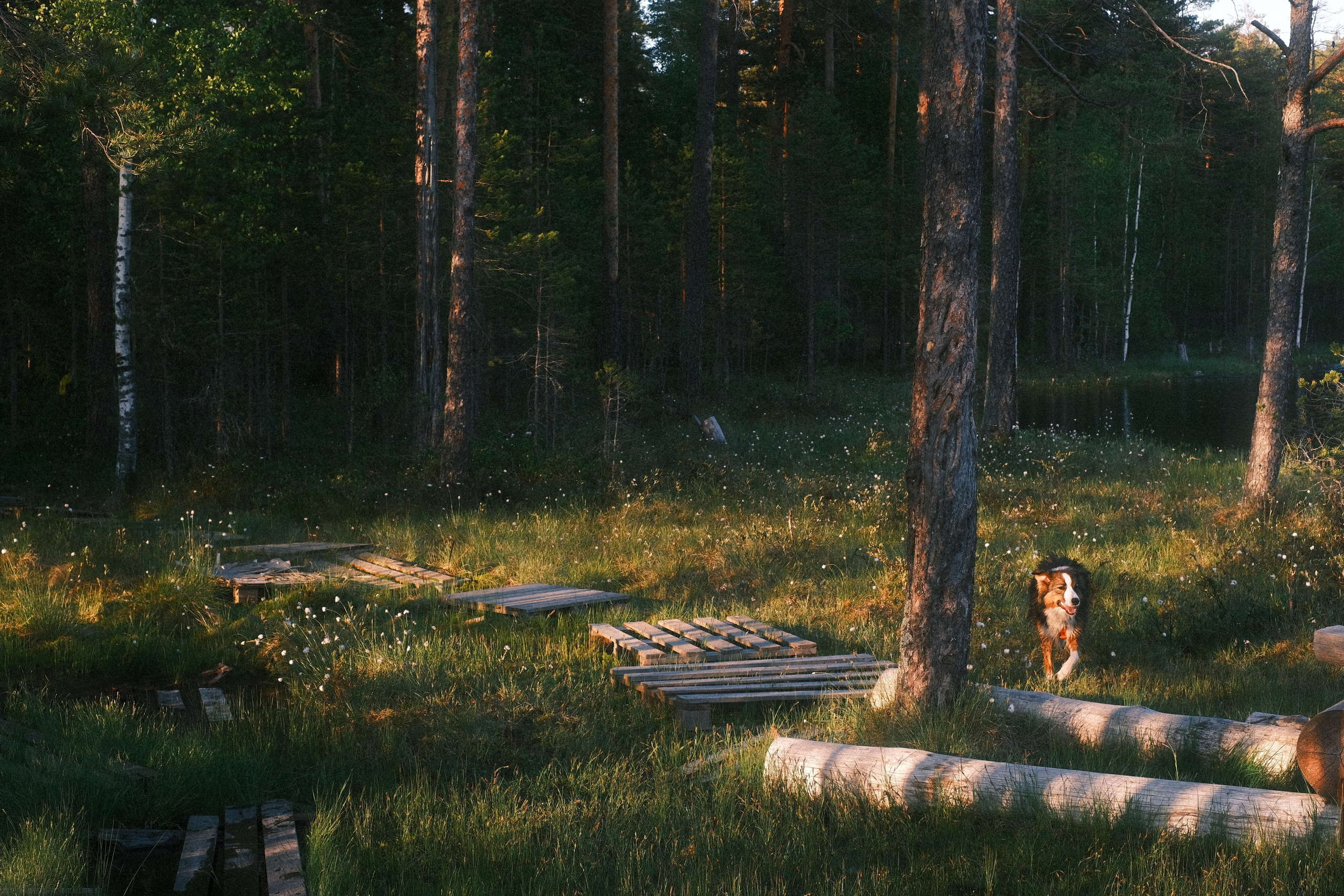 Орехово | май 2025