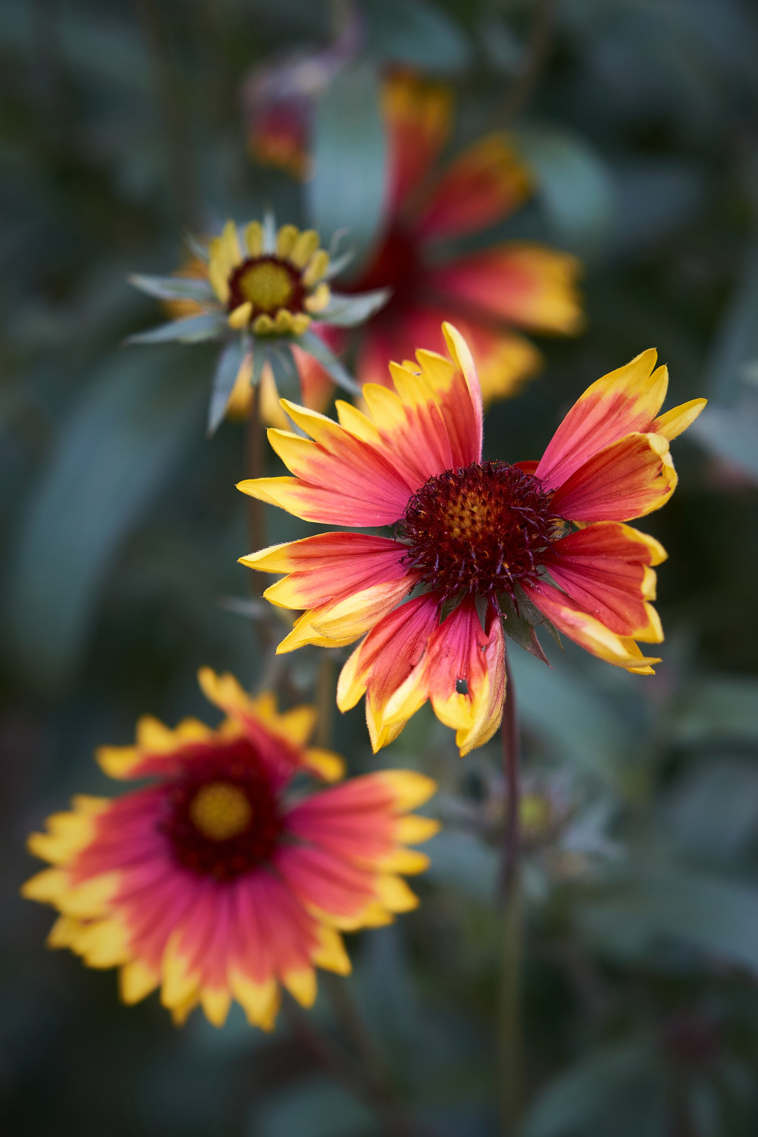 Наша мать — природа. Фотограф Владимир Артамонов