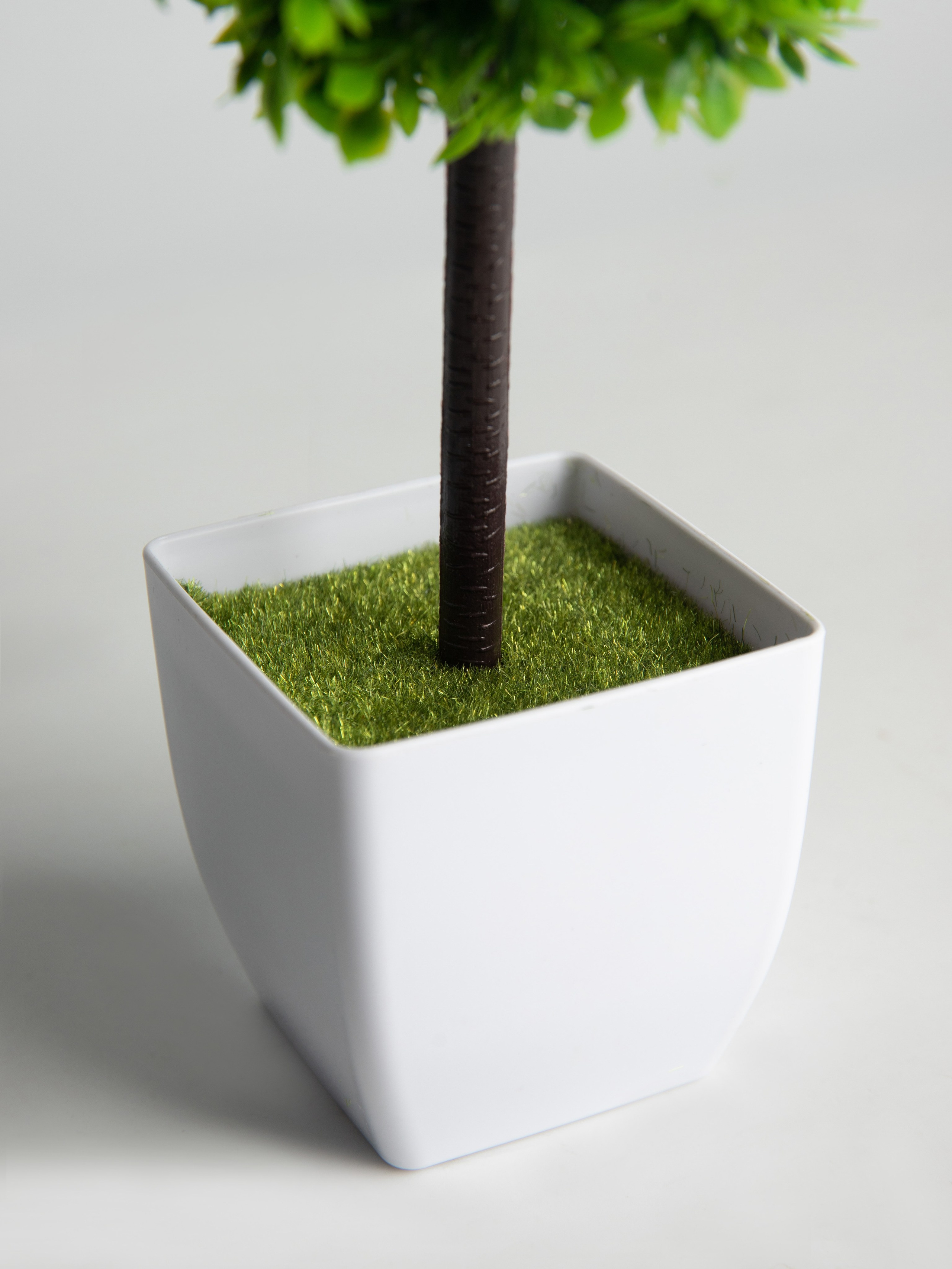 Декоративные деревья. Коммерческий фотограф в Санкт-Петербурге (СПб) Екатерина Панчёха, Панчёшка