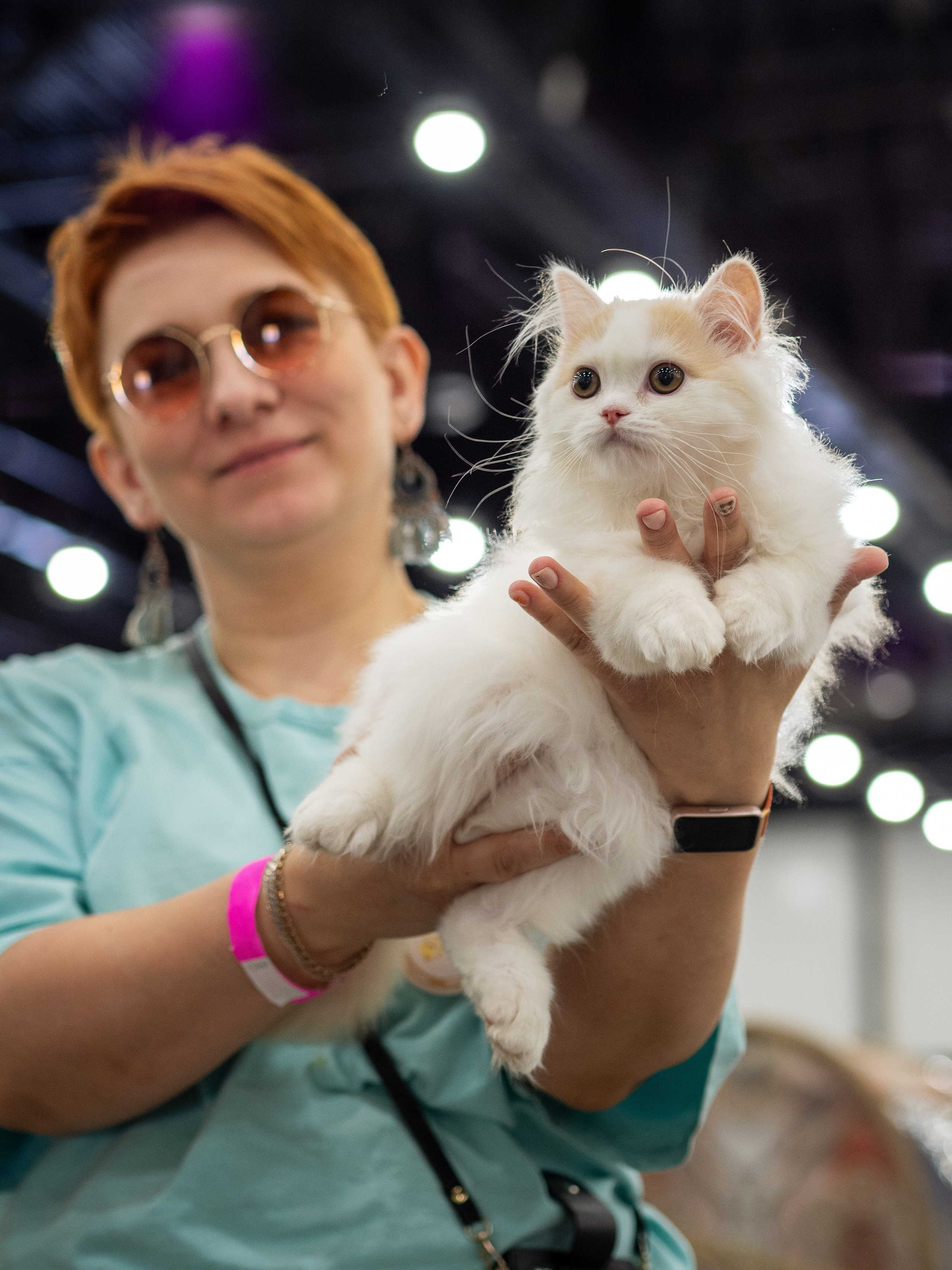 Анималистика. Сайт портфолио двух профессиональных фотографов