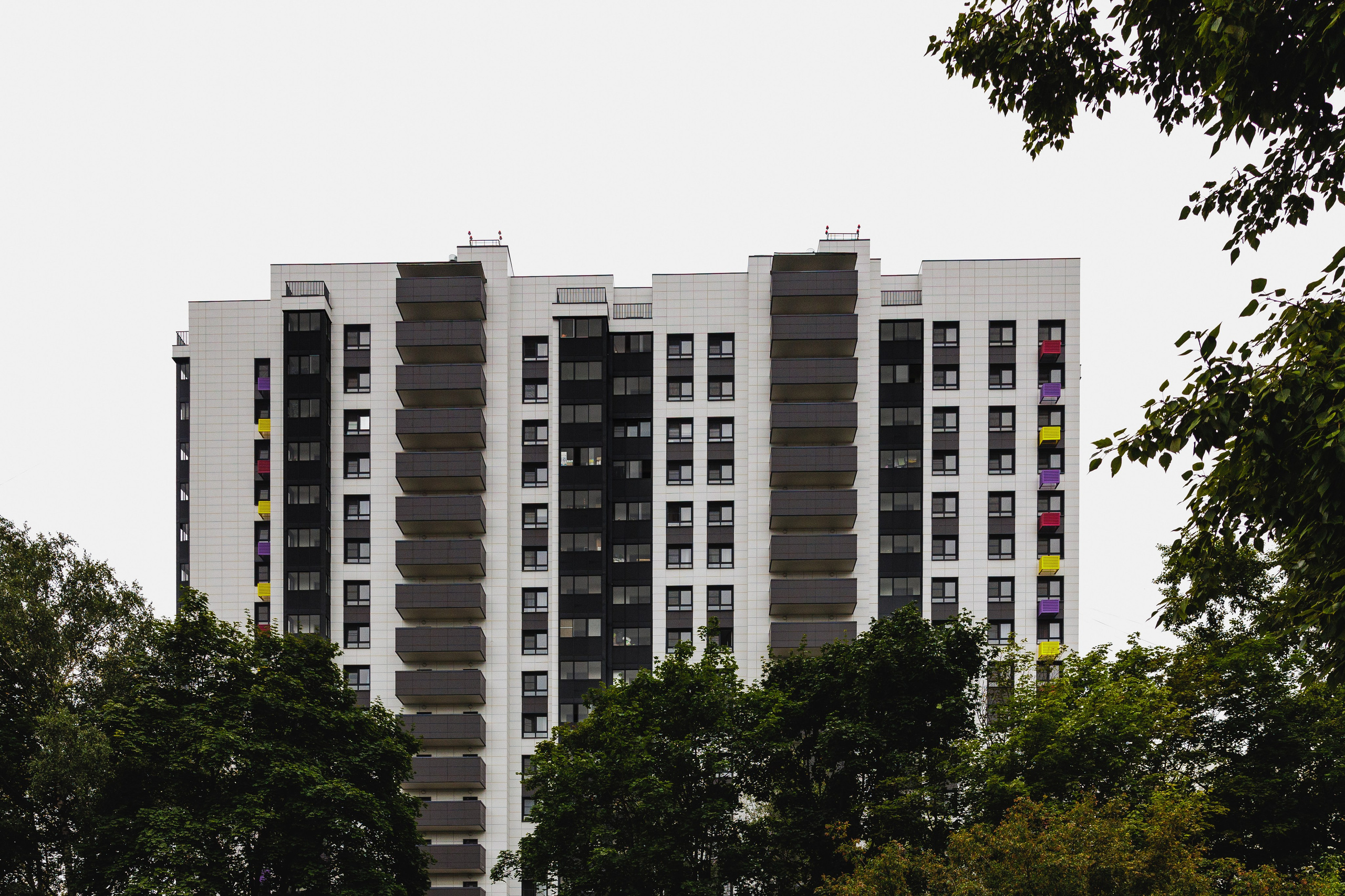 РЕНОВАЦИЯ — МОЛОДЦОВА 25. АЛТ Портфолио