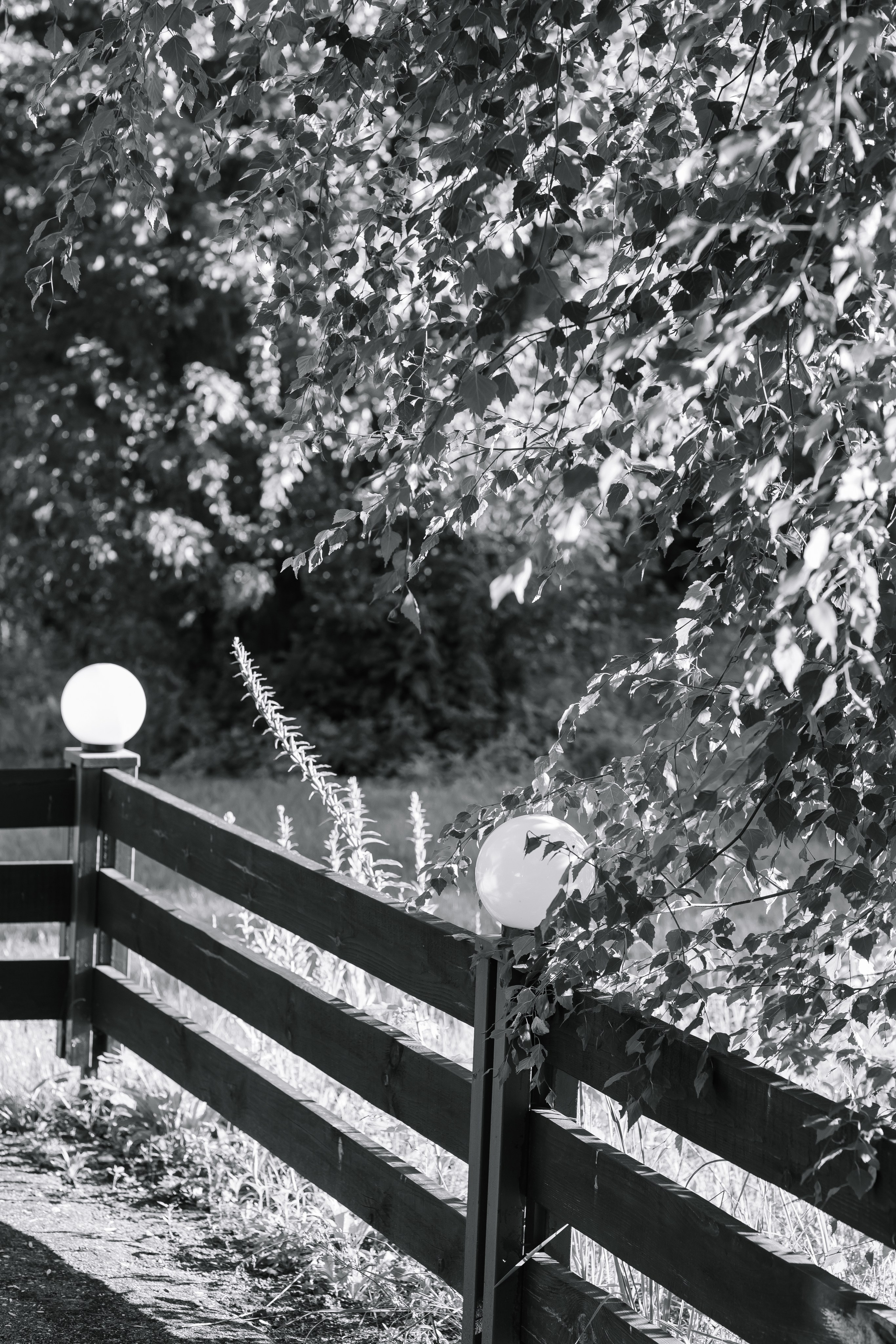 Никита/Анастасия. Свадебный фотограф