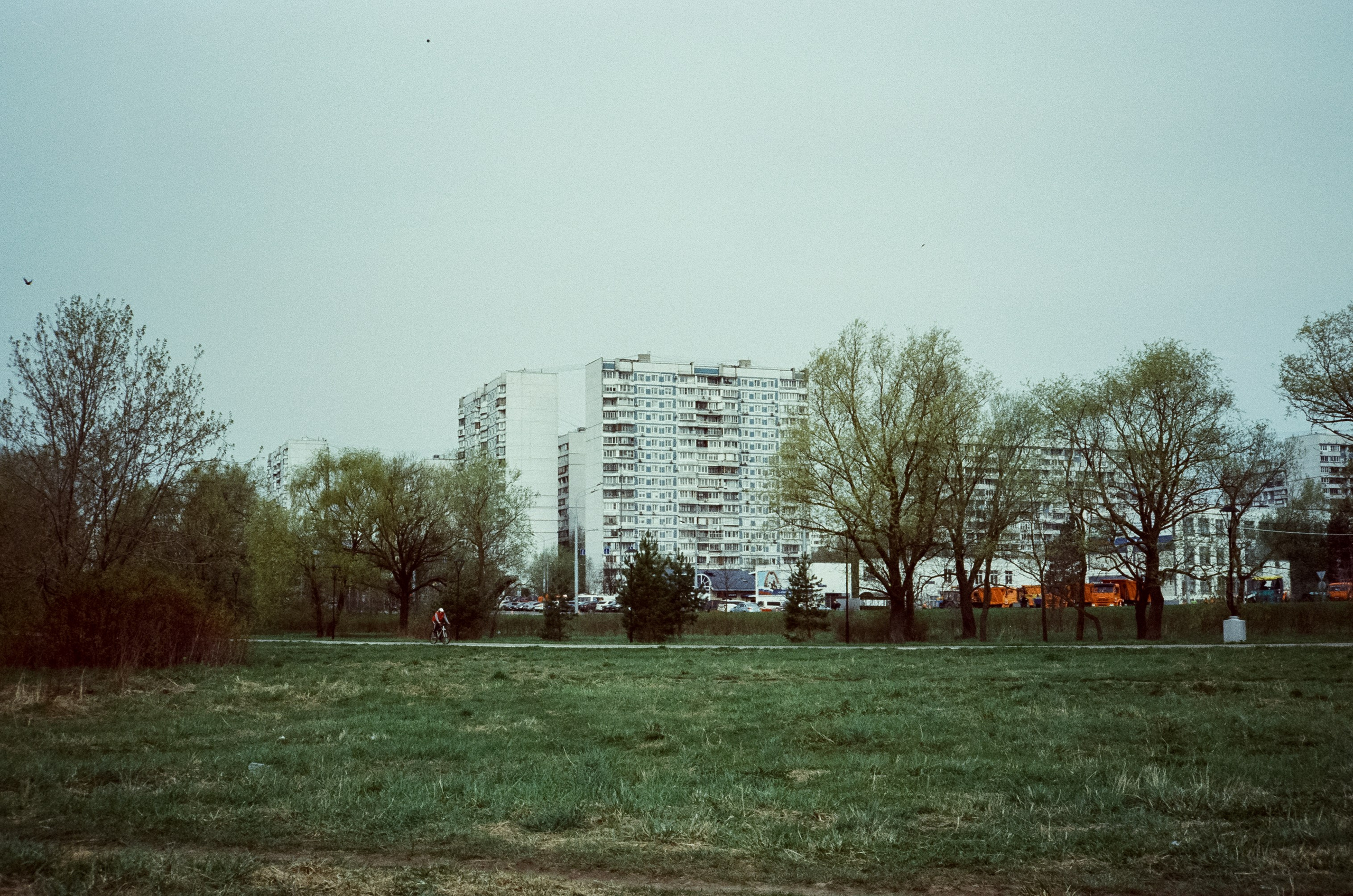 Ricoh 500GS / SFL 200T / Строгино тестовая пленка апрель 2024 г