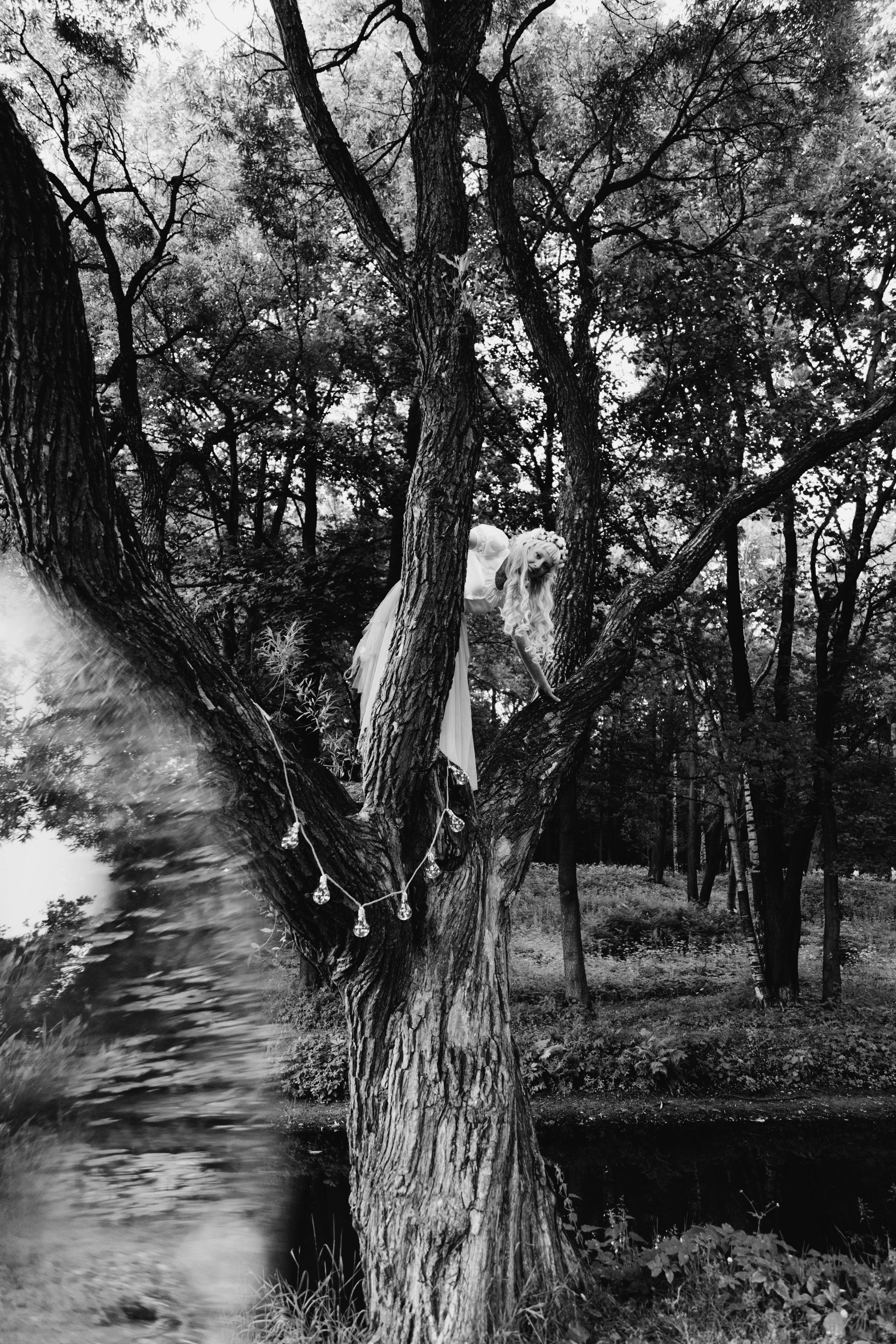 Ева фея. Креатор Ольга Яш