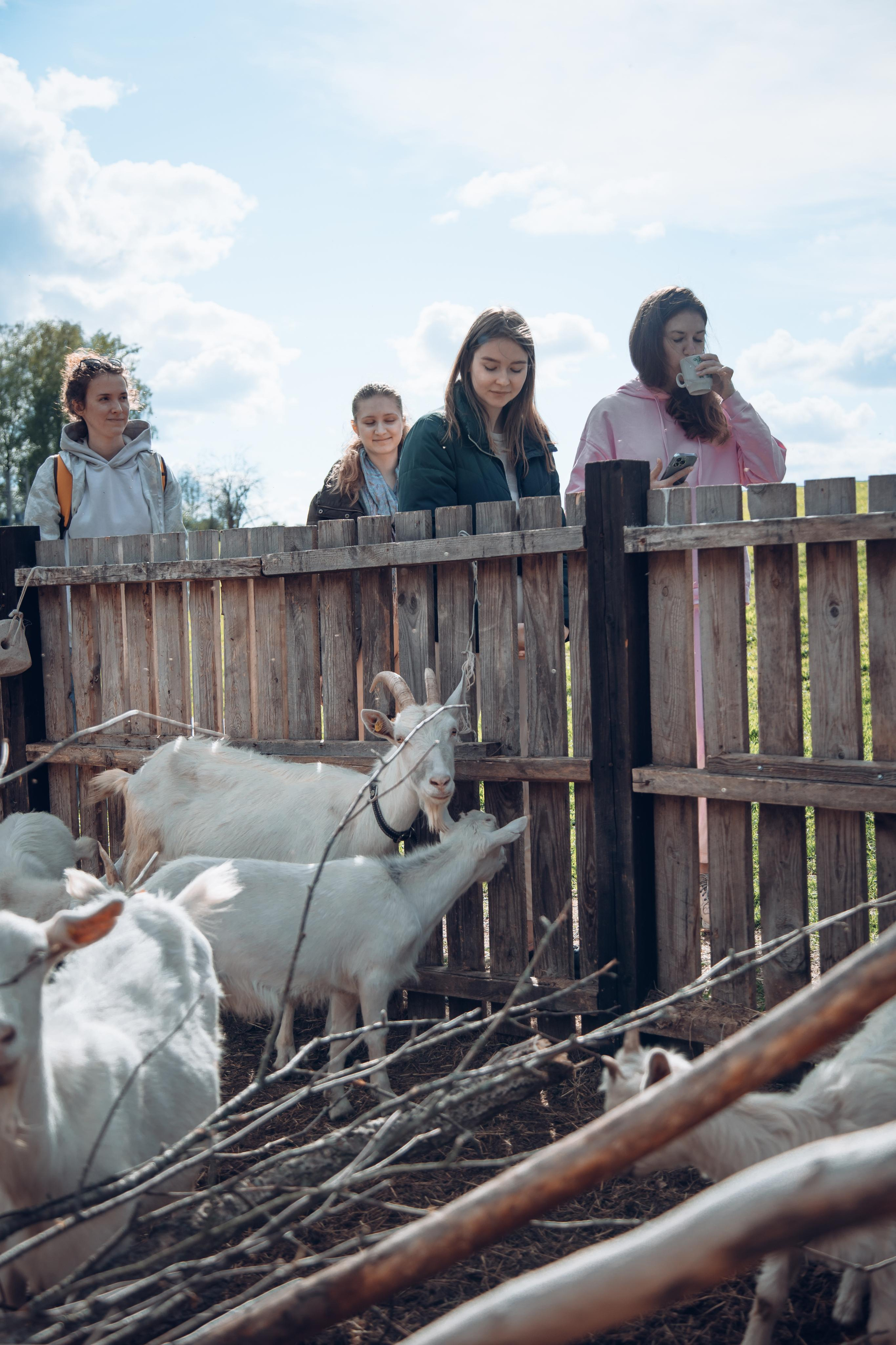 Ретрит: женский банный день. Креатор Ольга Яш