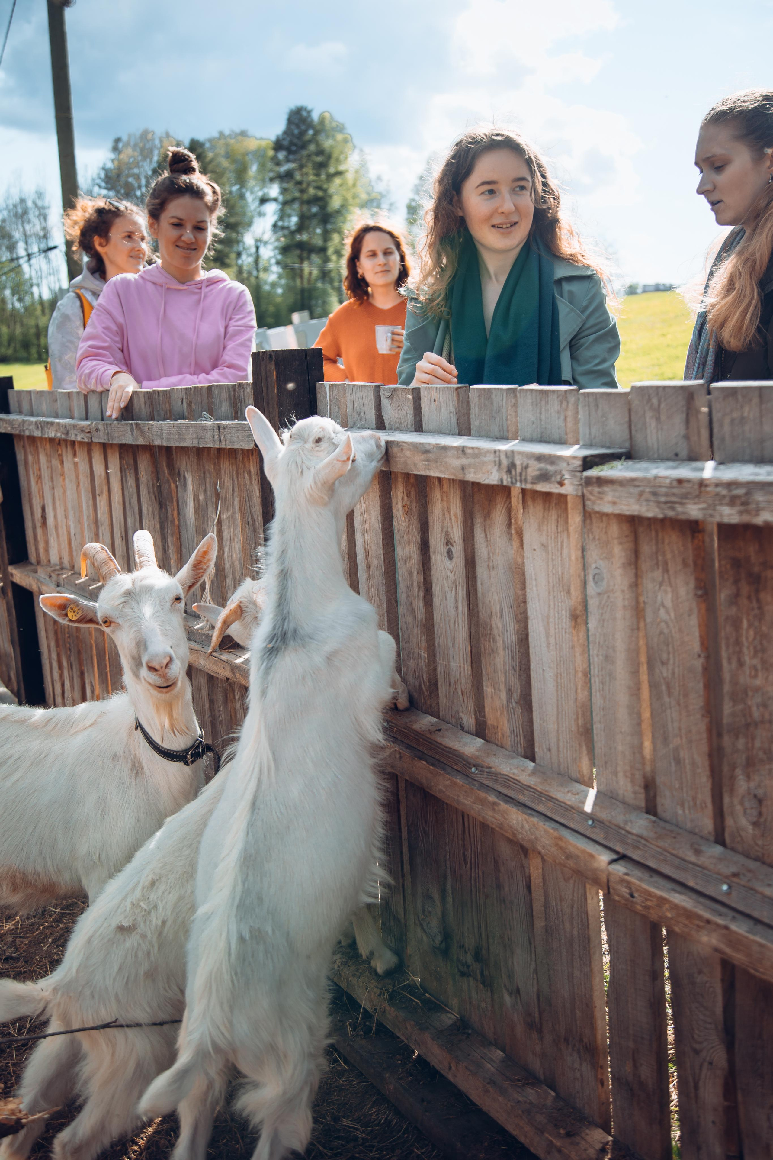 Ретрит: женский банный день. Креатор Ольга Яш