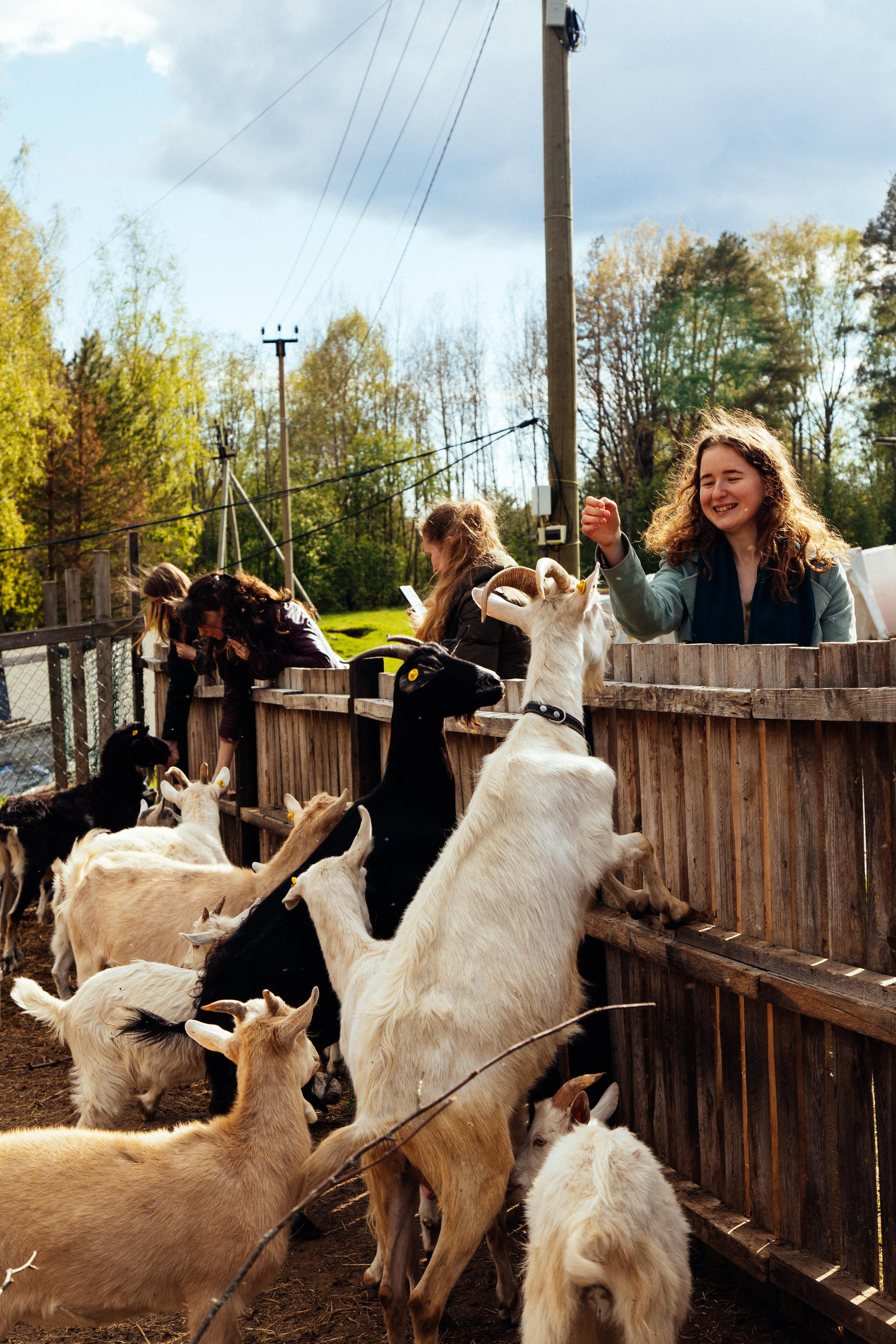 Ретрит: женский банный день. Креатор Ольга Яш