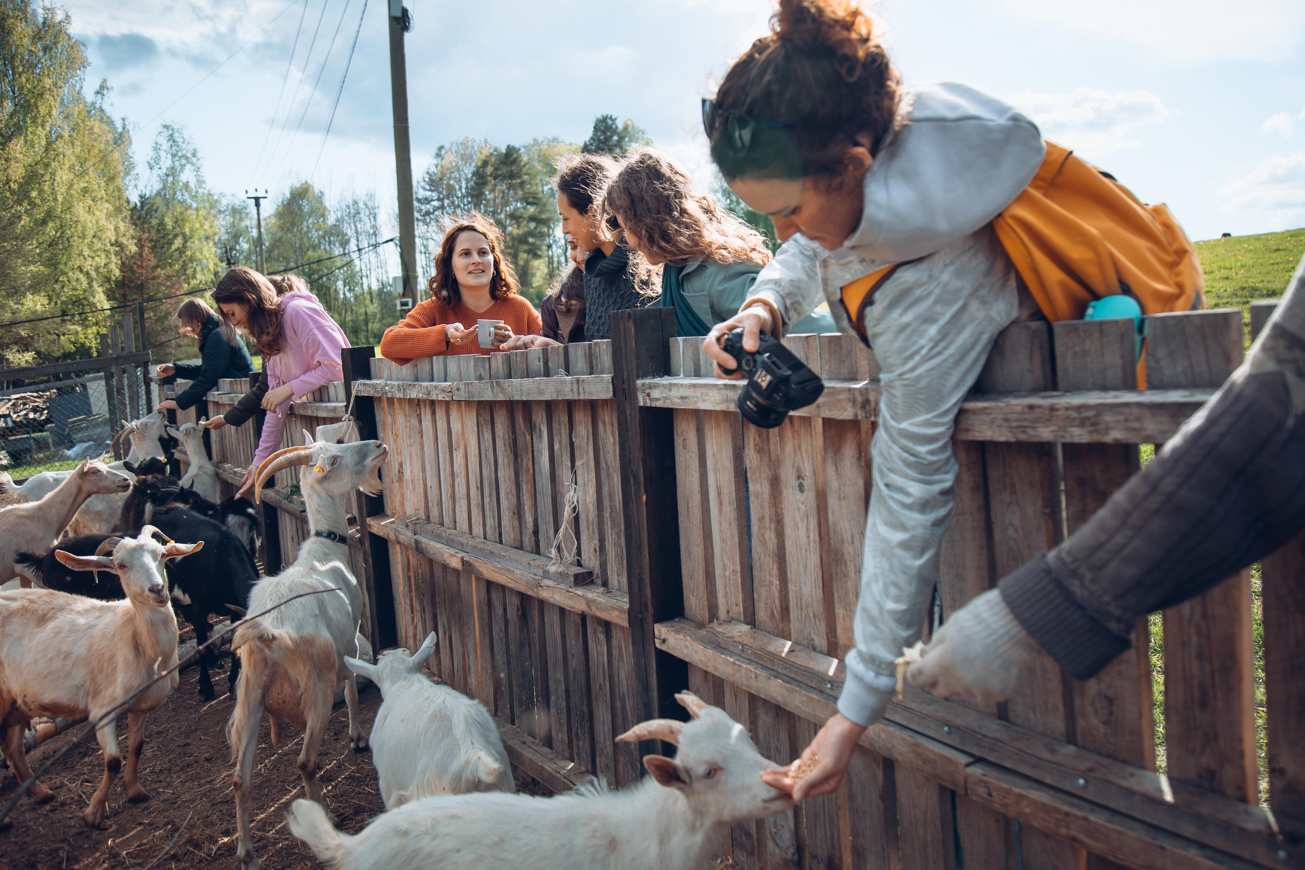 Ретрит: женский банный день. Креатор Ольга Яш