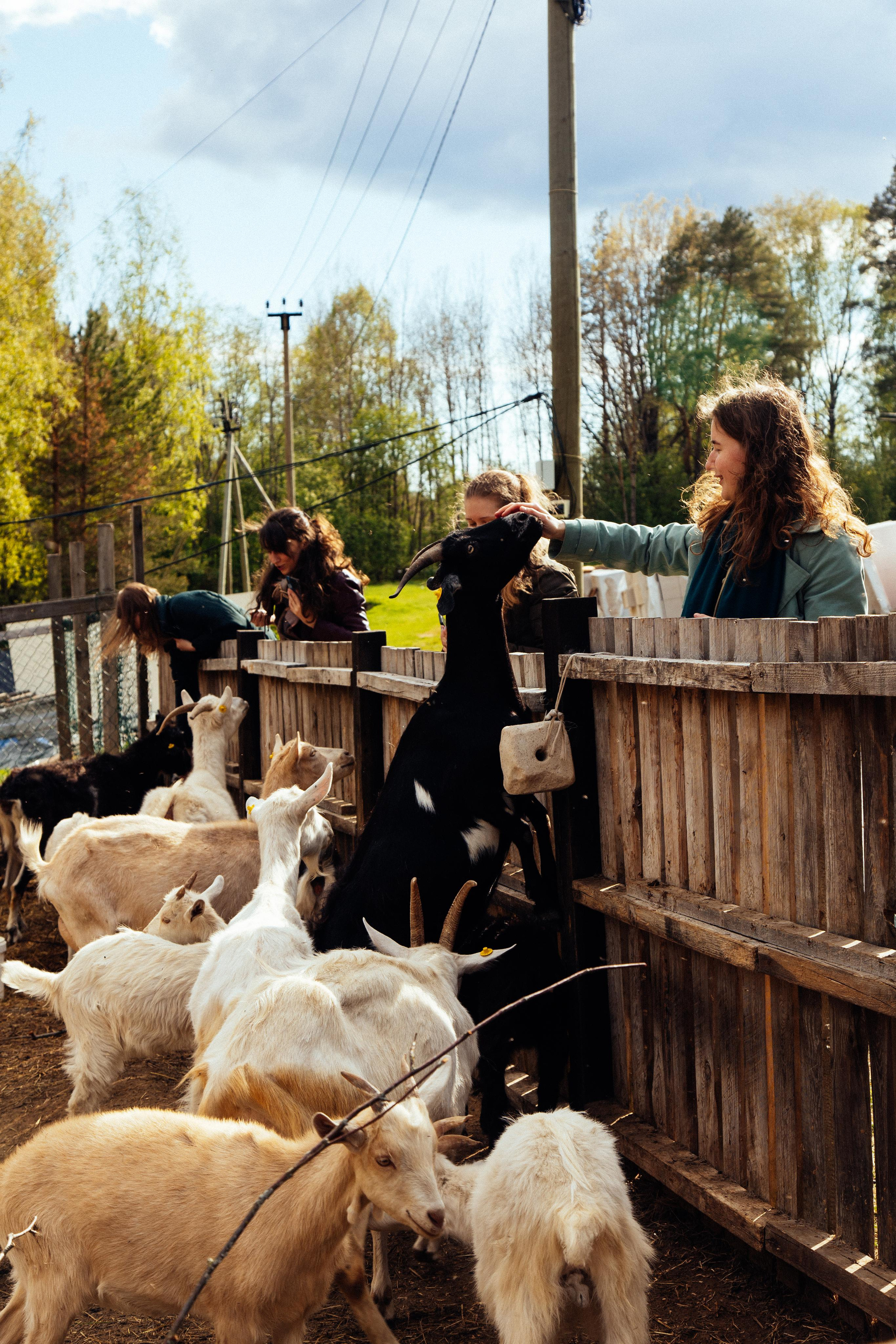 Ретрит: женский банный день. Креатор Ольга Яш