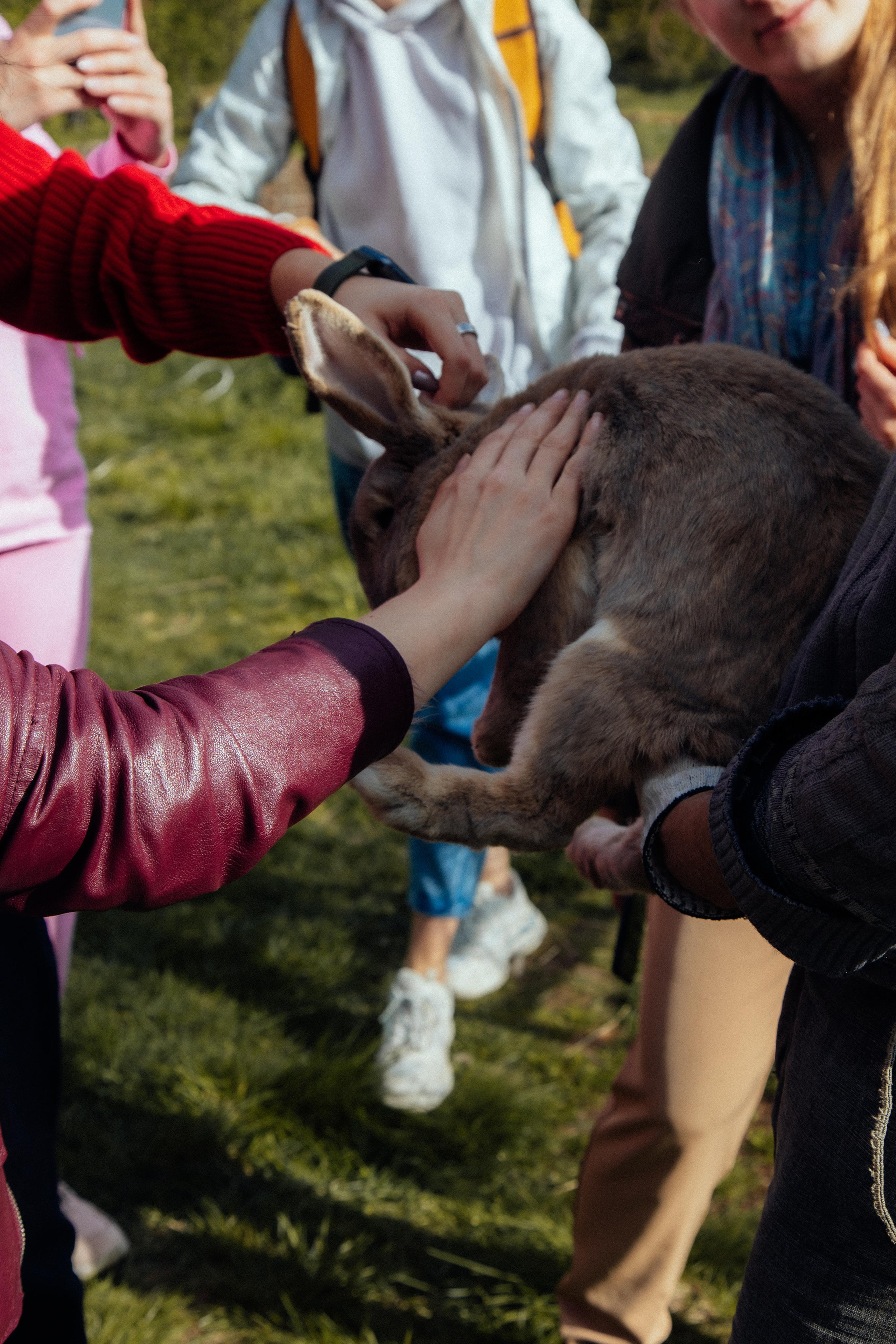 Ретрит: женский банный день. Креатор Ольга Яш