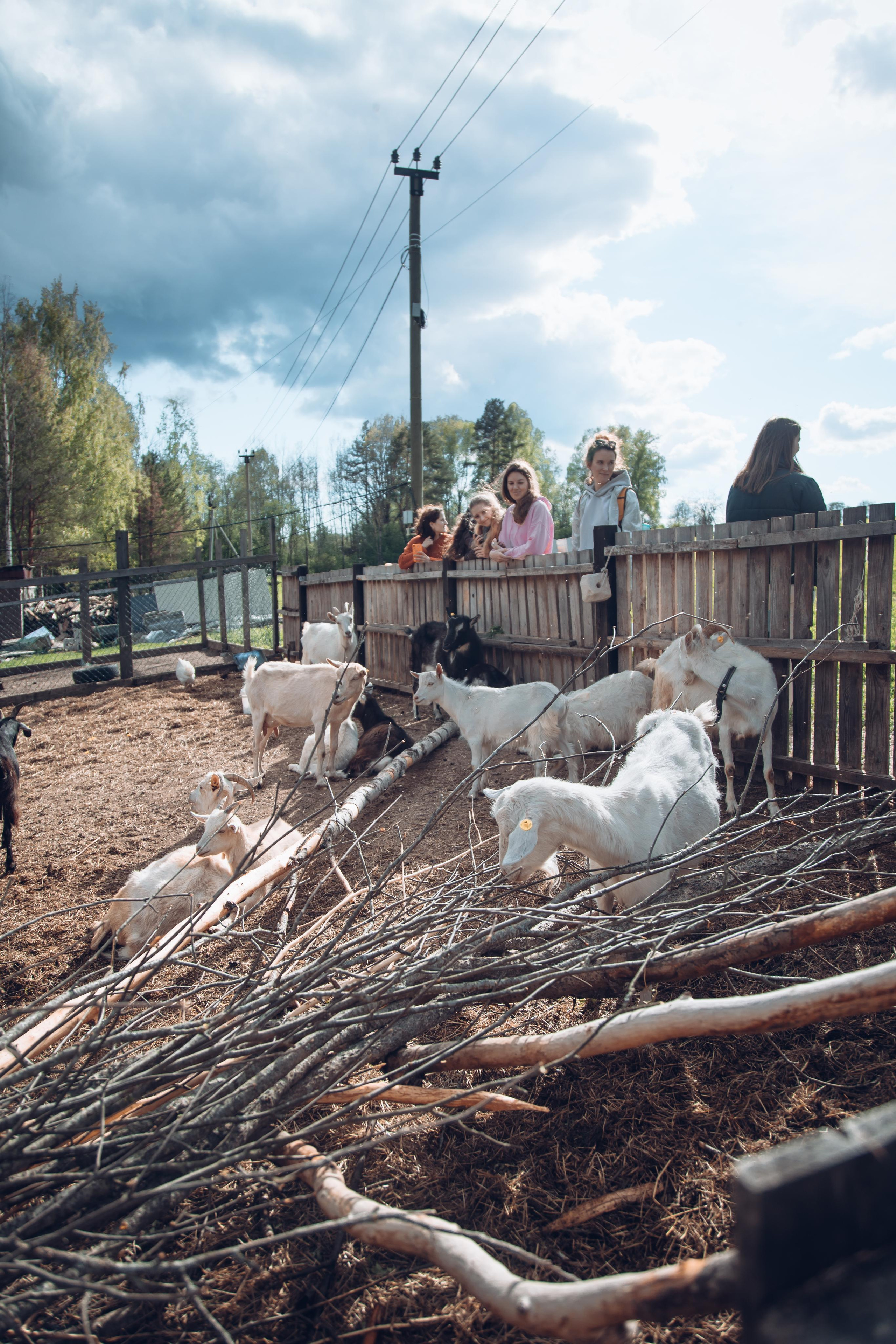 Ретрит: женский банный день. Креатор Ольга Яш