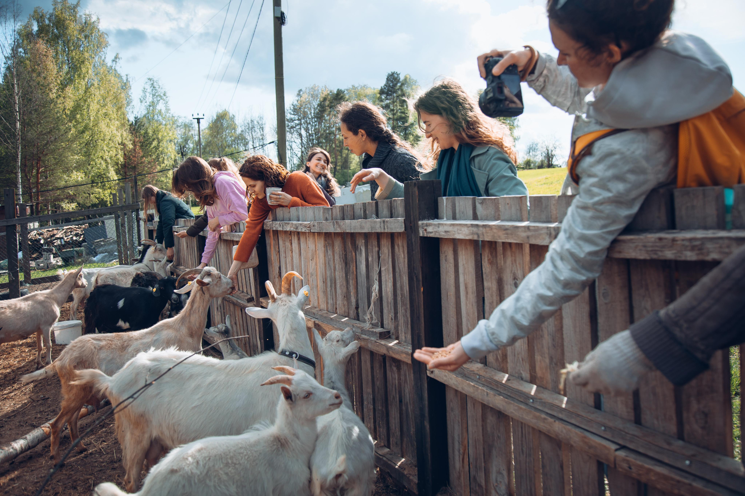 Ретрит: женский банный день. Креатор Ольга Яш