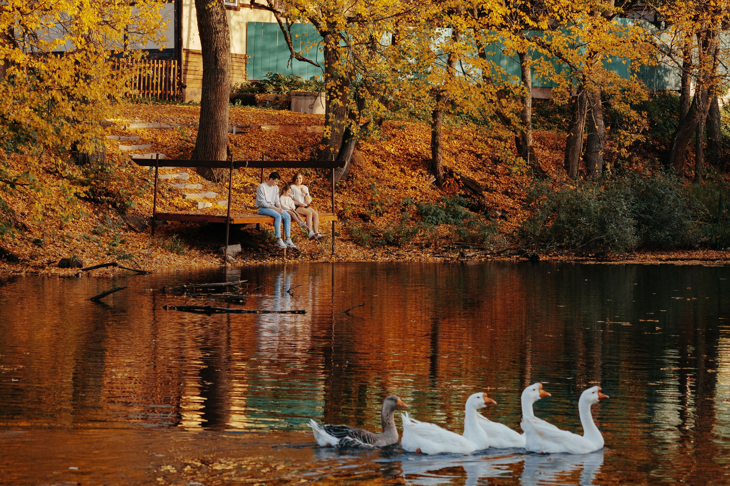 Семейный фотограф Клубкова Мария. Поместье Клу