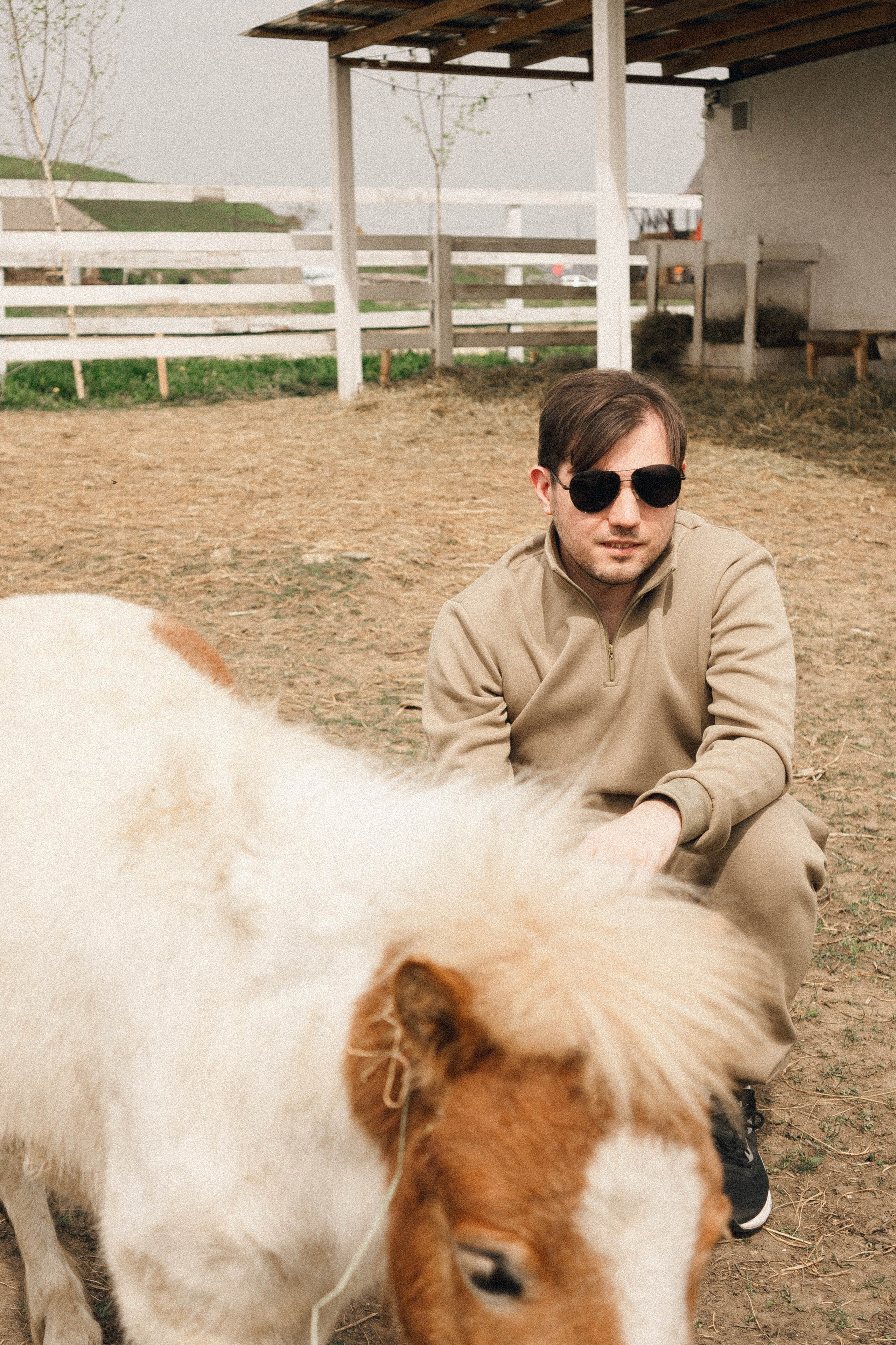 Ферма Альпак. Профессиональный фотограф, Санкт-Петербург — Виктория Богомолова